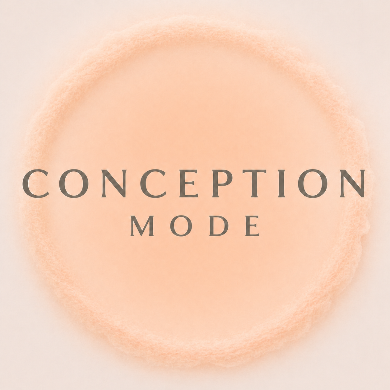 CONCEPTION MODE