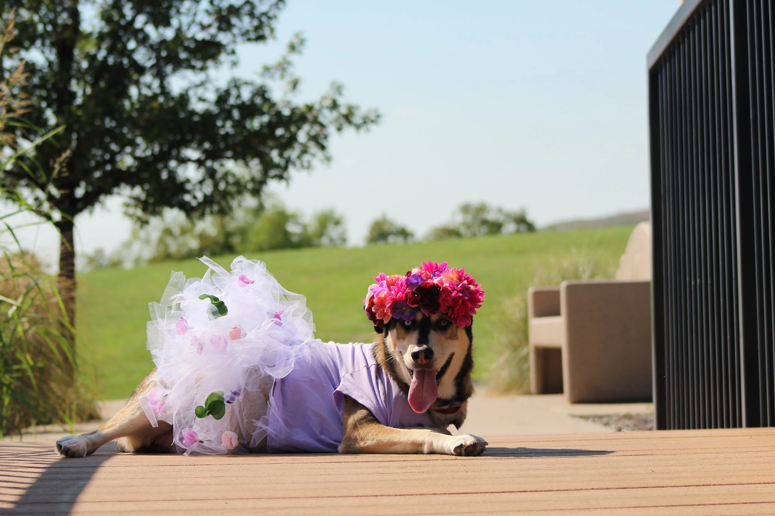 Cornucopia Maternity Shoot_6789.JPG
