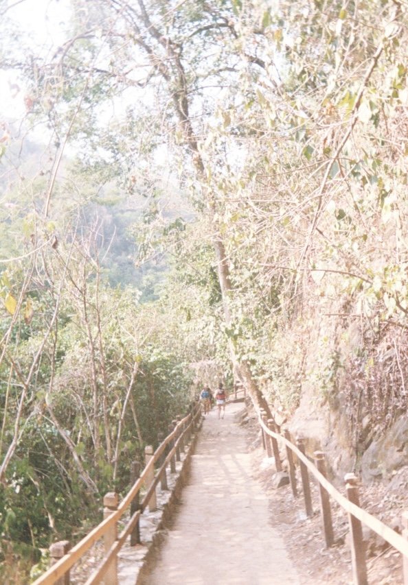 SLP Tamasopo.jpg