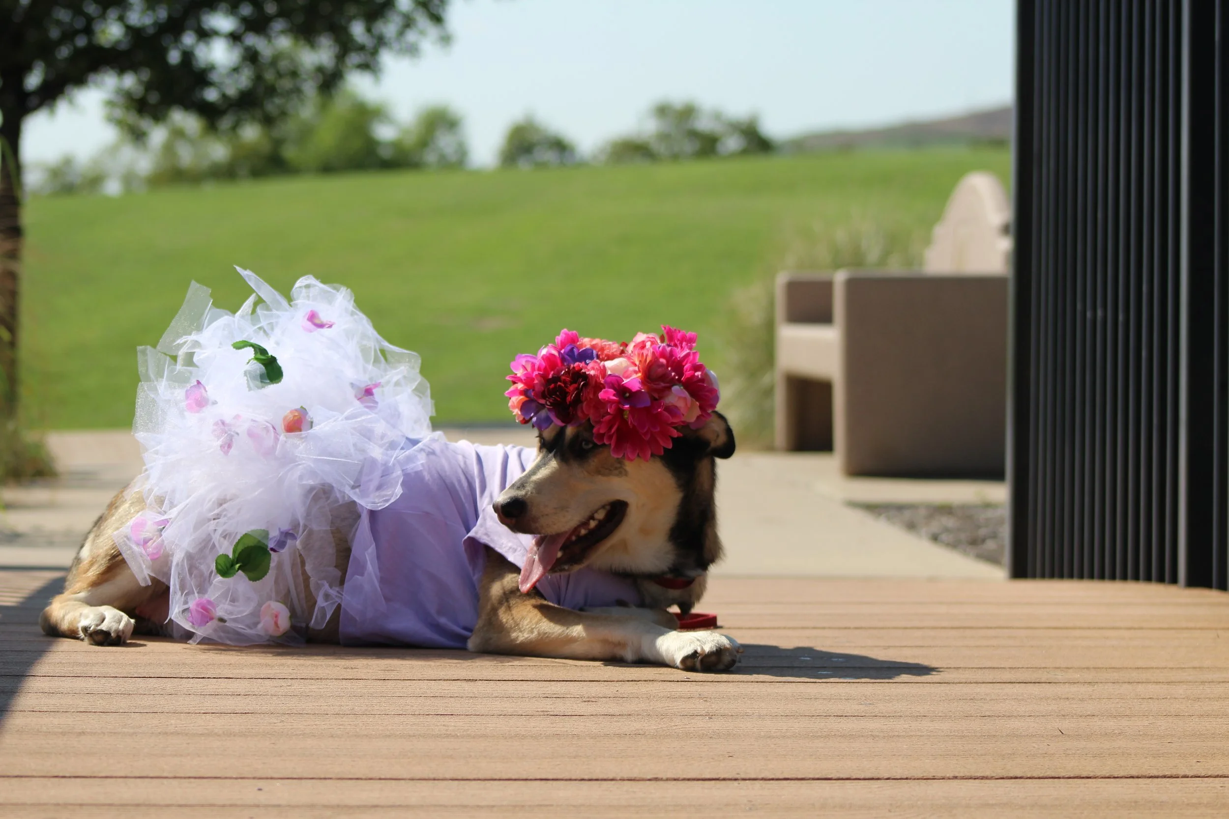 Cornucopia Maternity Shoot_6786.JPG