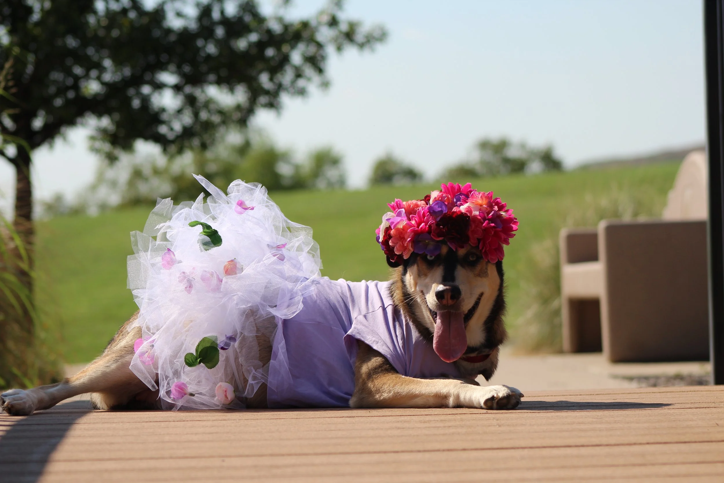 Cornucopia Maternity Shoot_6792.JPG