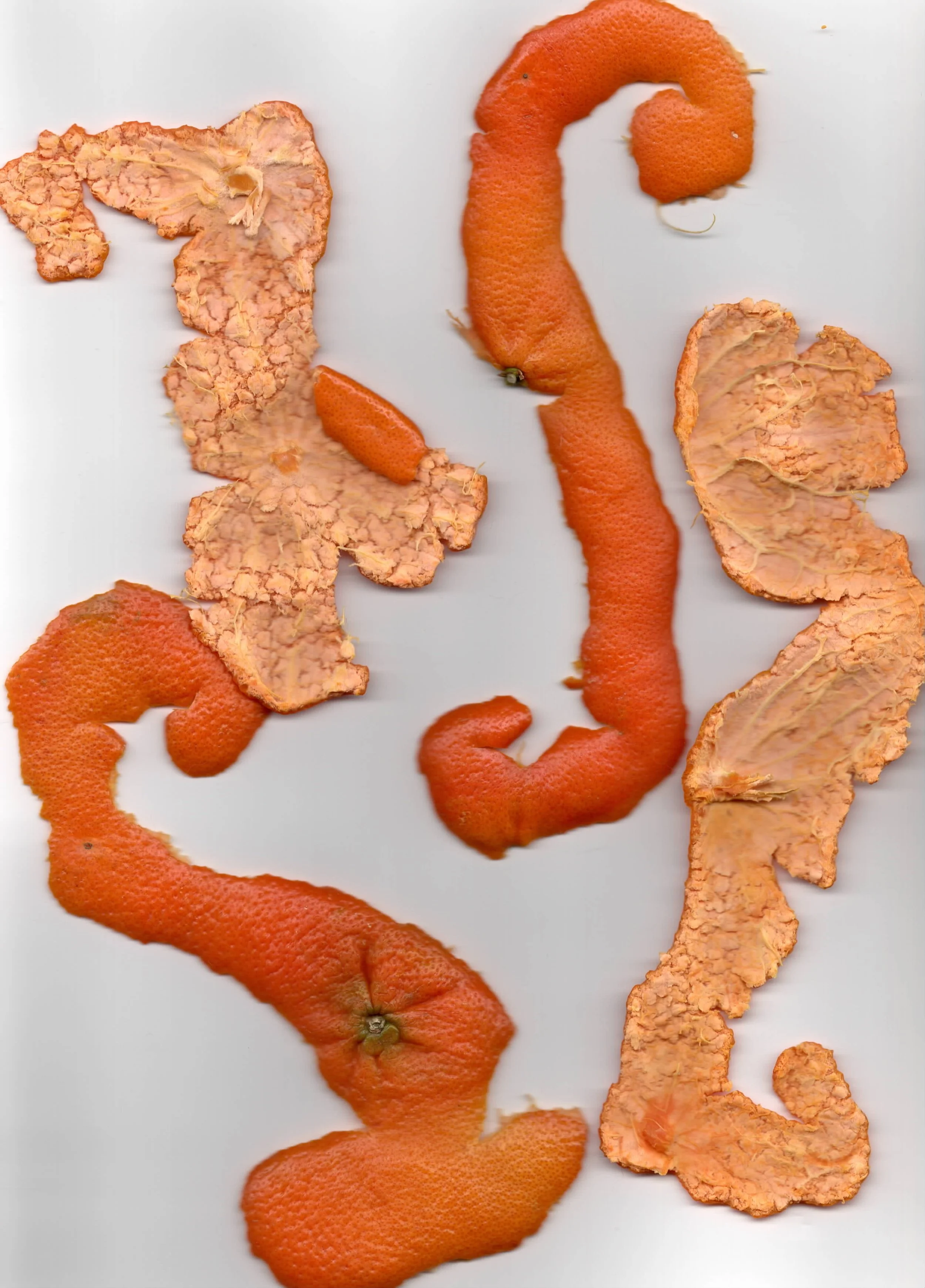 Perfectly Peeled Mandarin Oranges