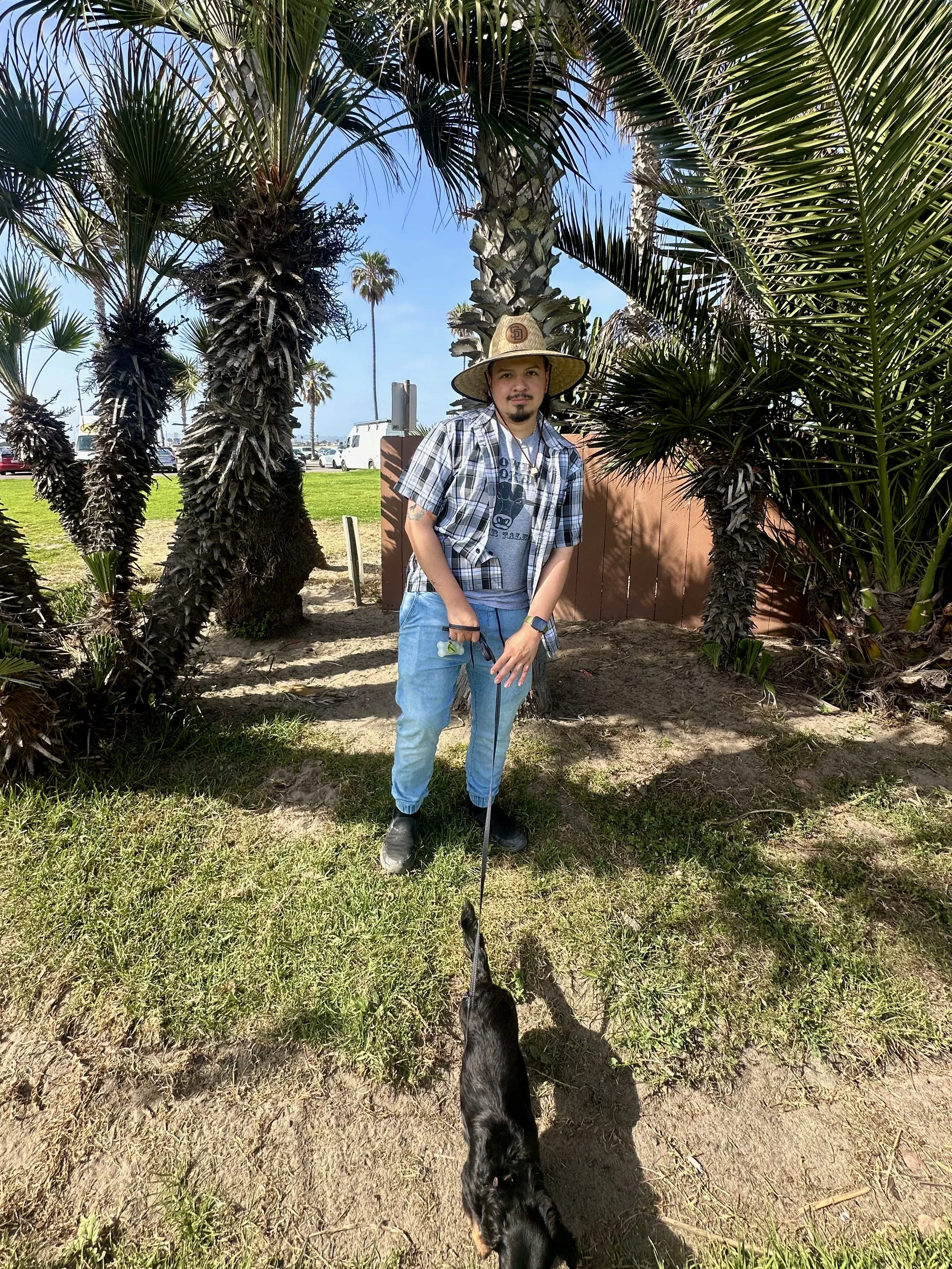A man stands among tall palm trees on a sunny day, holding a leash attached to a black dog. The man is wearing a wide-brimmed straw hat, a plaid shirt with rolled-up sleeves, a t-shirt underneath, and blue jeans. There are parked cars and a clear blue sky in the background.