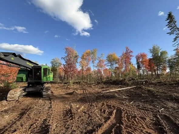 armstrong property 3.jpg