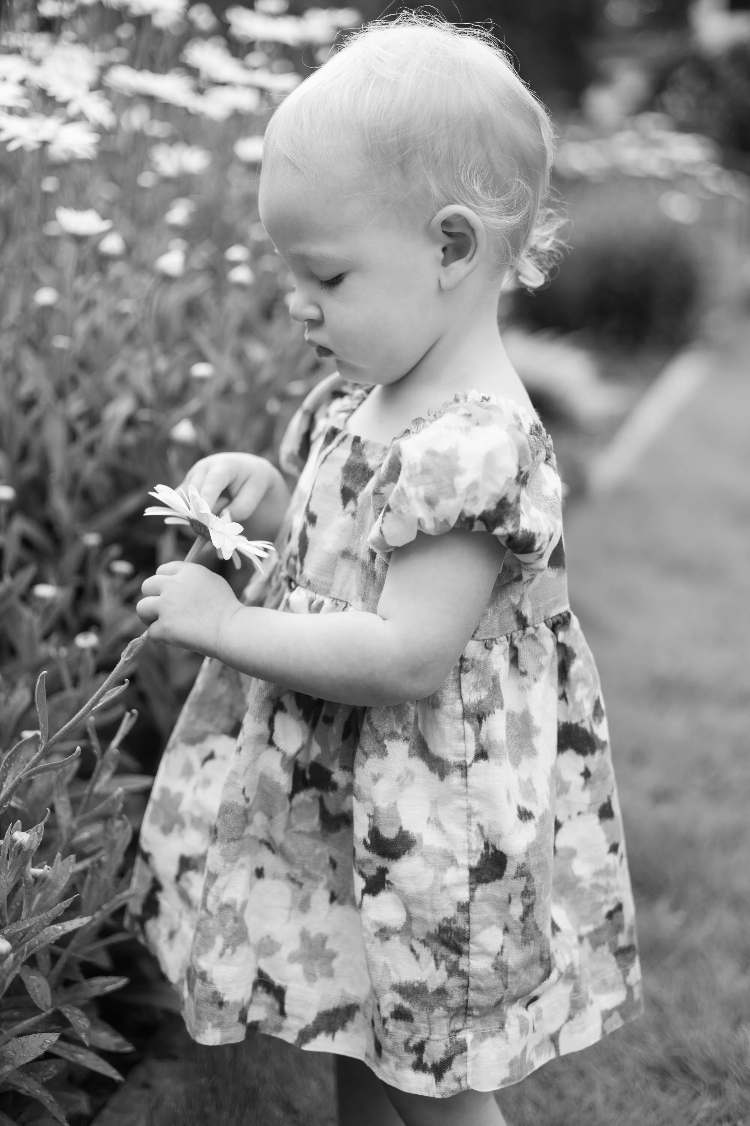 A young girl with blonde hair in a short hairstyle, wearing a patterned dress, is looking at a flower in her hand in a garden with flowers and greenery.