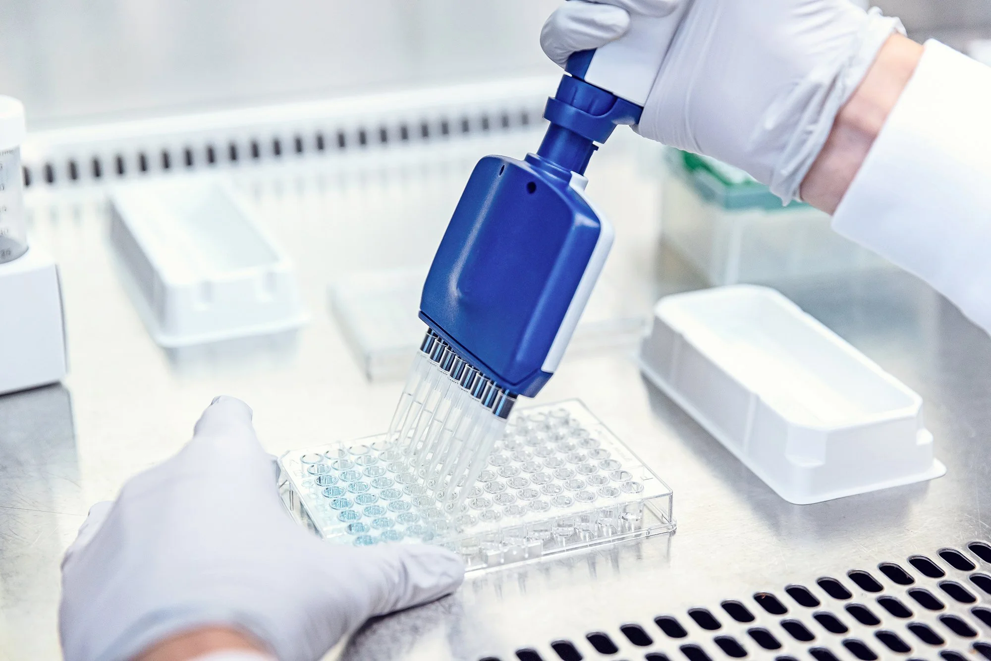 Close-up of a gloved hand using a multichannel pipette on a sample plate, BiomEdit lab photography