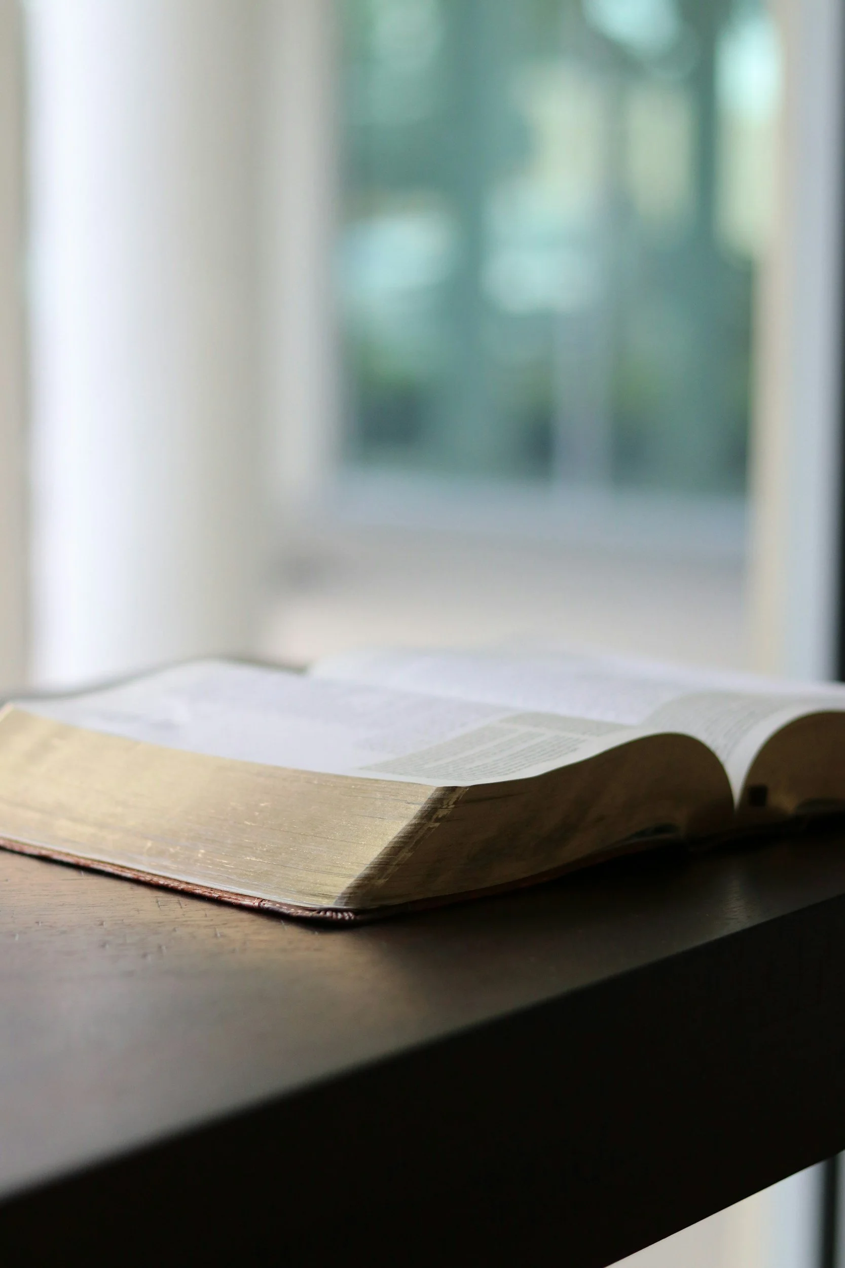 Open book on a dark wooden table near a window with blurred greenery outside.