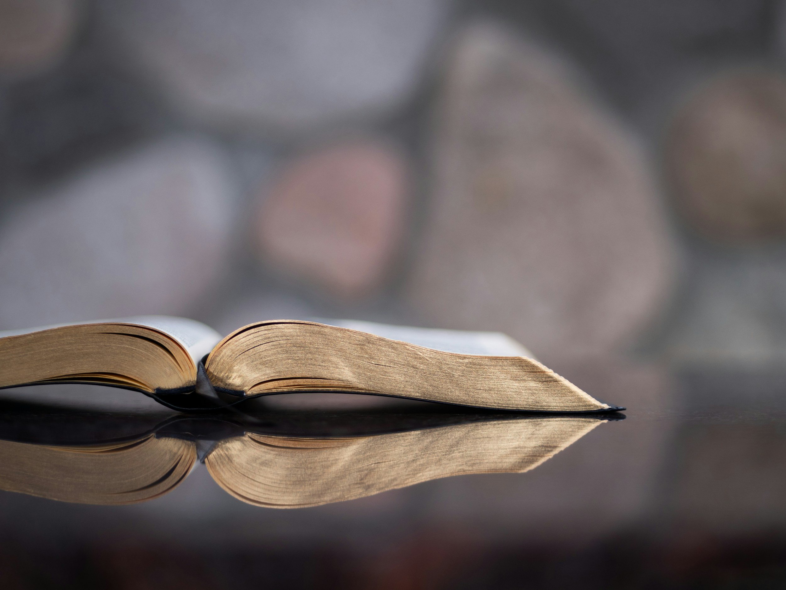 Open book with pages fanned on a reflective surface, blurred background.