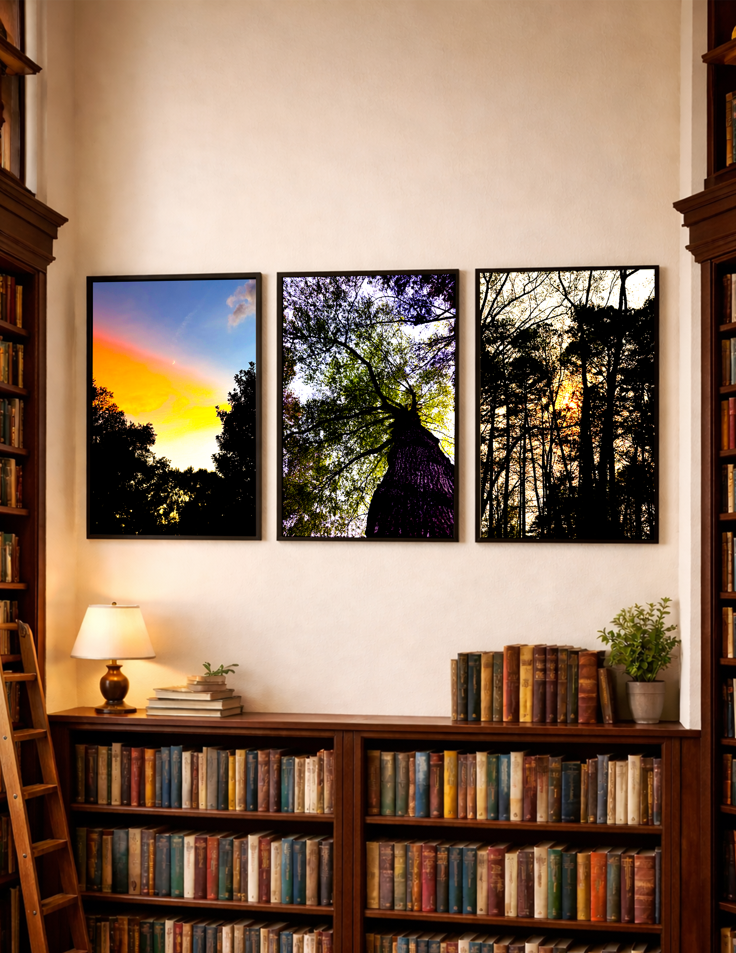 Three framed landscape photographs of trees at sunset, hung on a cream-colored wall in a library room.