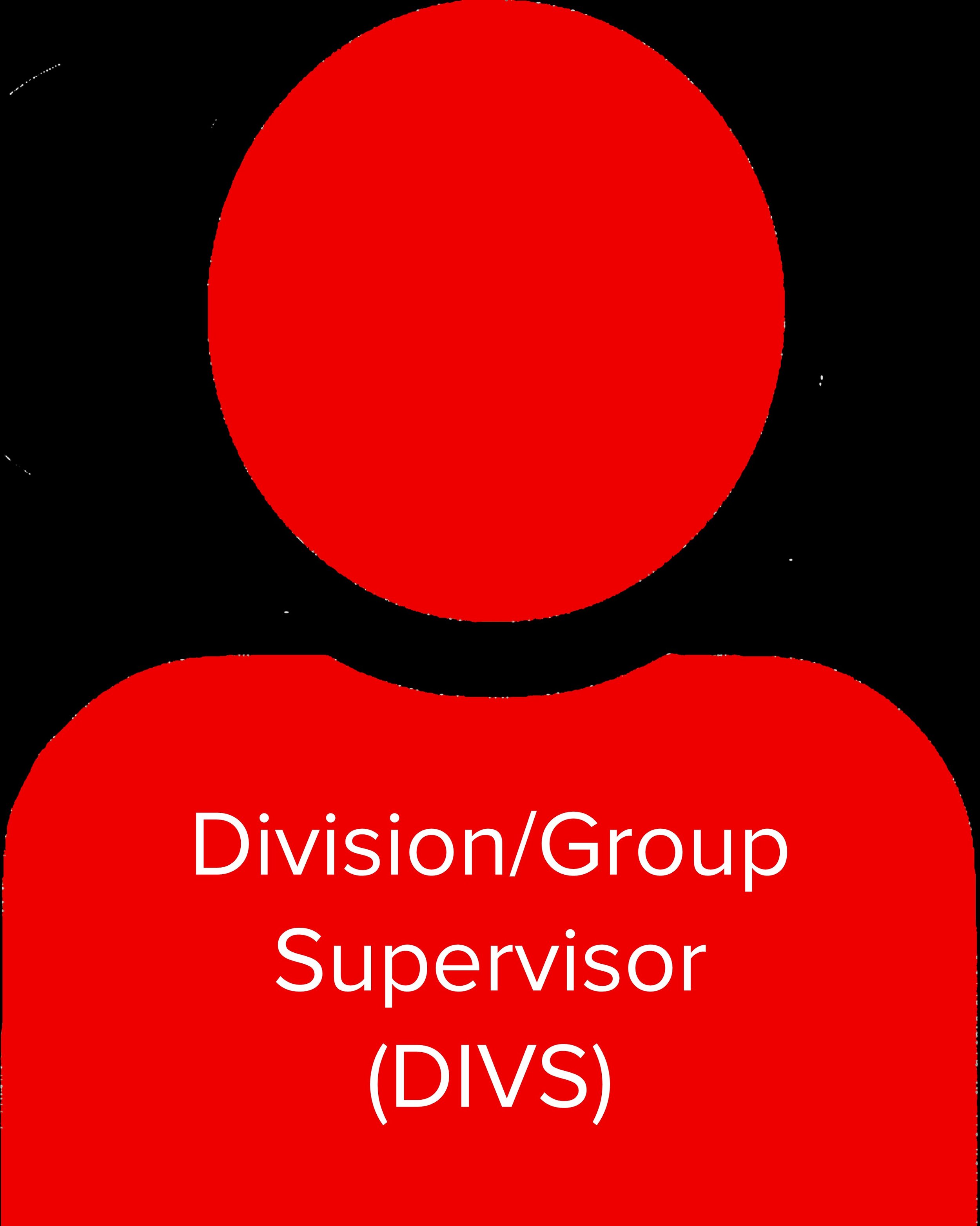 Division Group Supervisors (DIVS).jpg