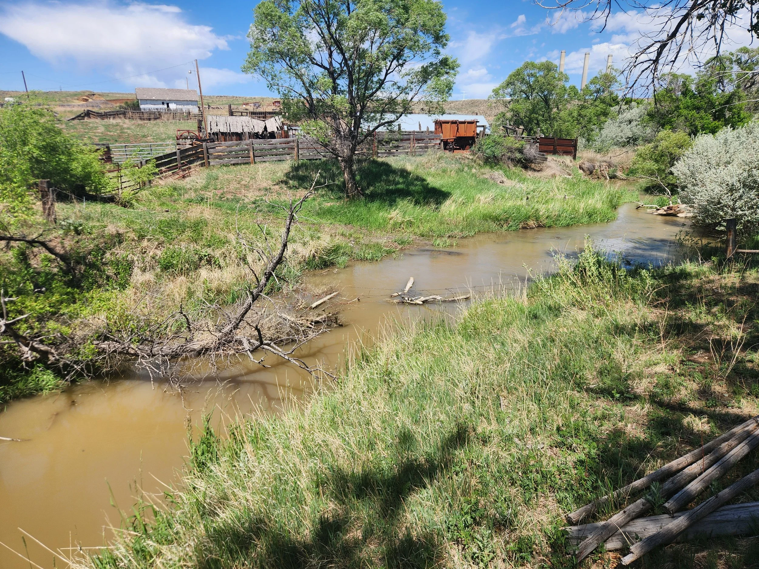 20260602_111653.jpg