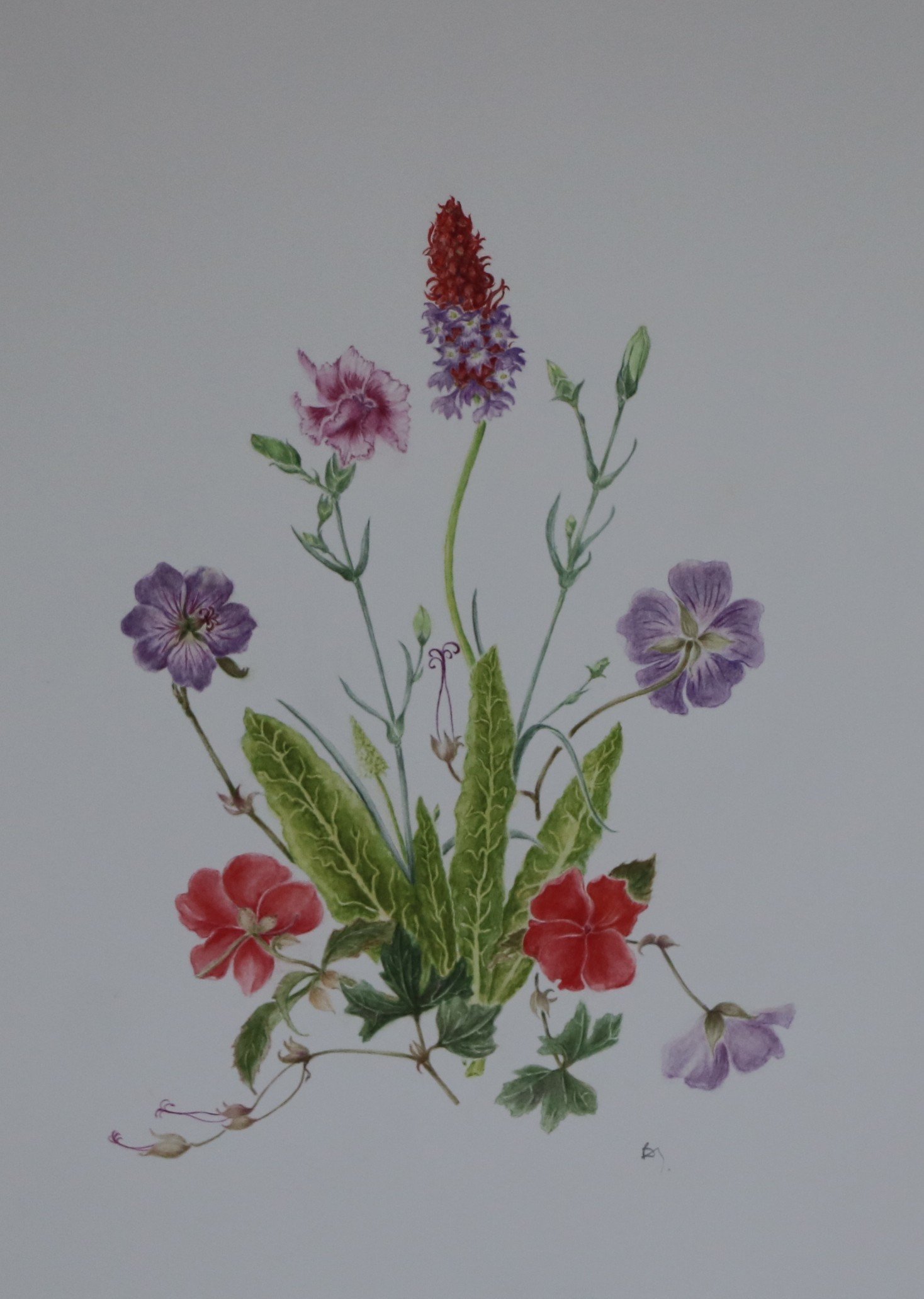Petite Garden Jewels - Original Botanical Watercolour Painting (Unframed)
