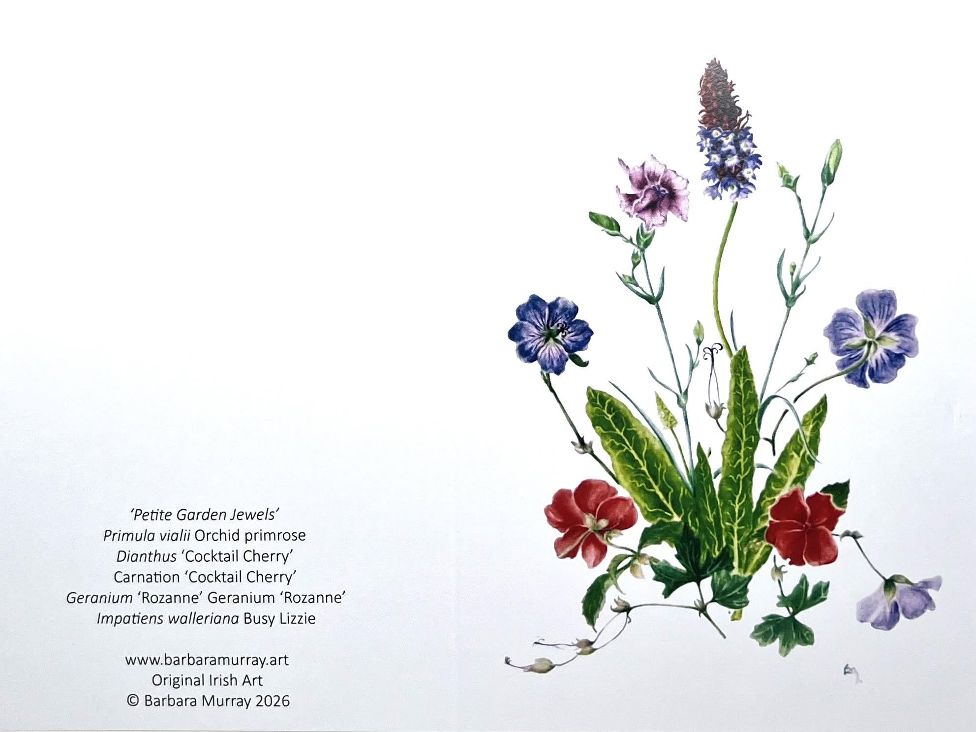 Petite Garden Jewels Card.jpg