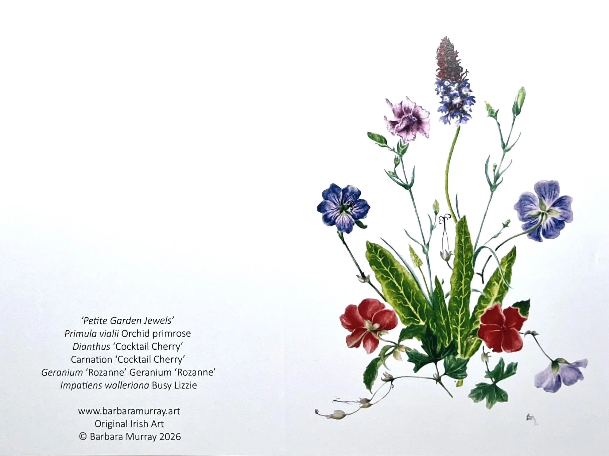Petite Garden Jewels Card.jpg