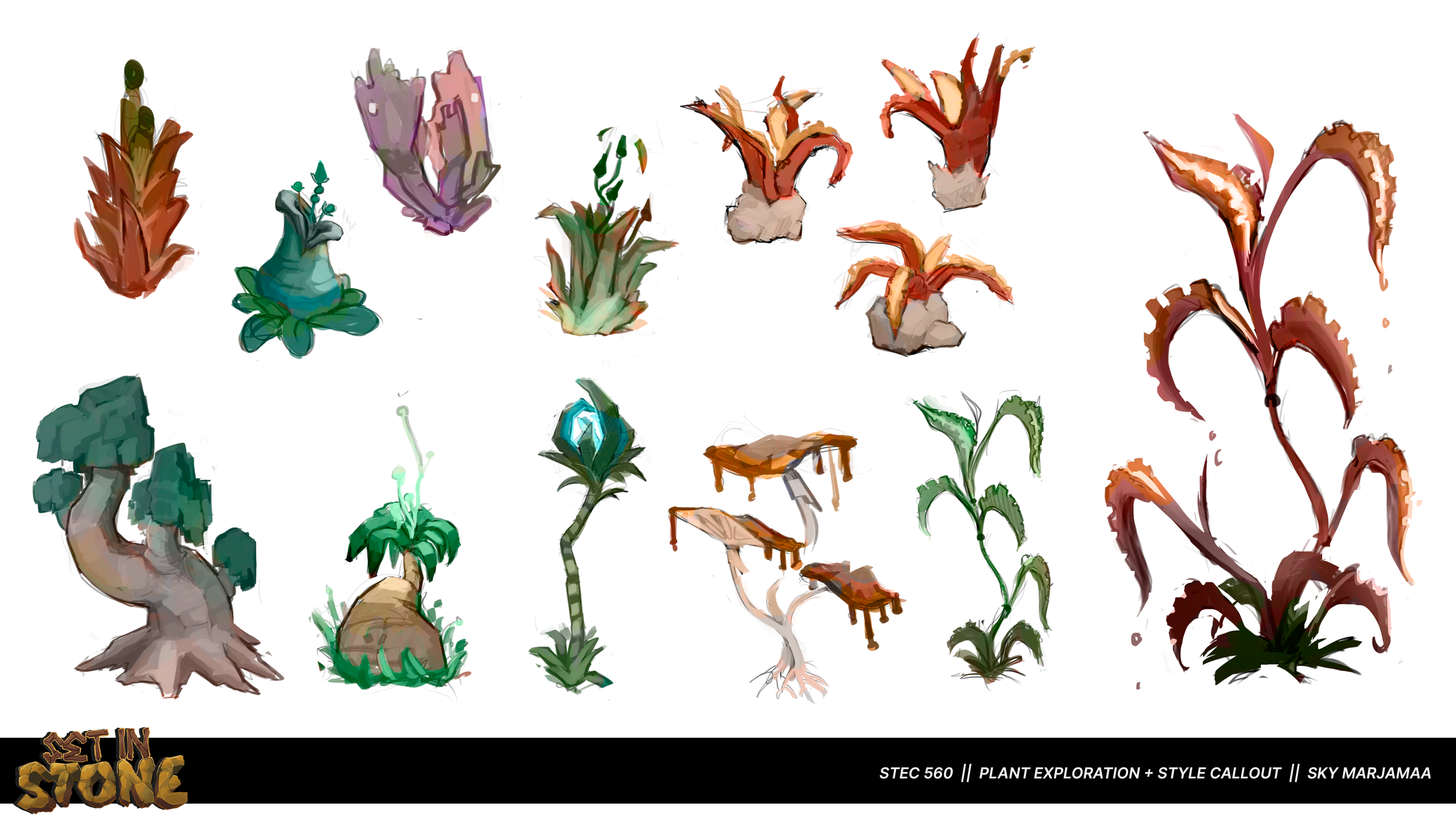 W5_mmarja20_PLantExplorations copy (2).png