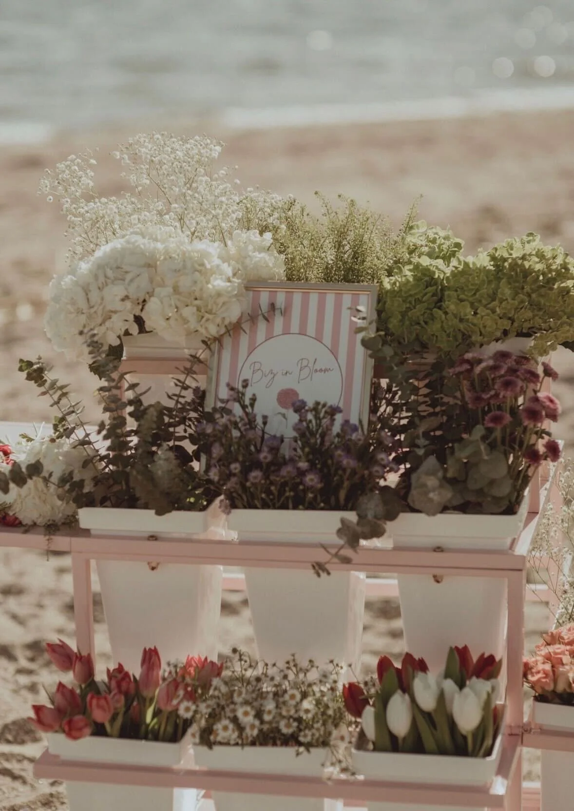 Arrangement of various flowers in pots on a pink metal stand with a sign that says "Botanical Bloom," set on a beach.