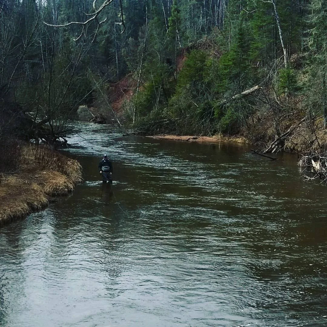 A person fishing in a river surrounded by trees and forested landscape.