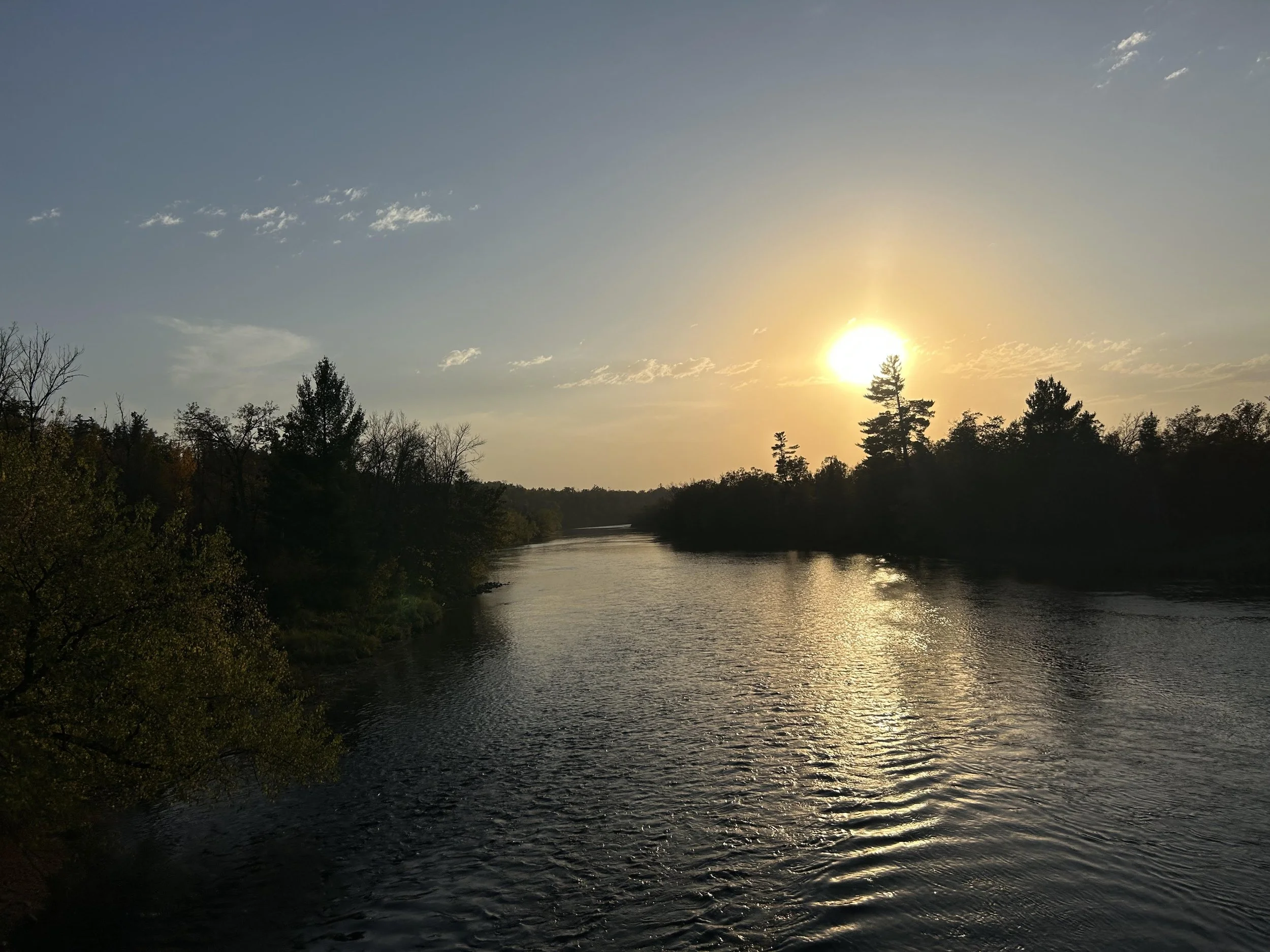 A river flowing through a forest under a sunset sky with a few scattered clouds.