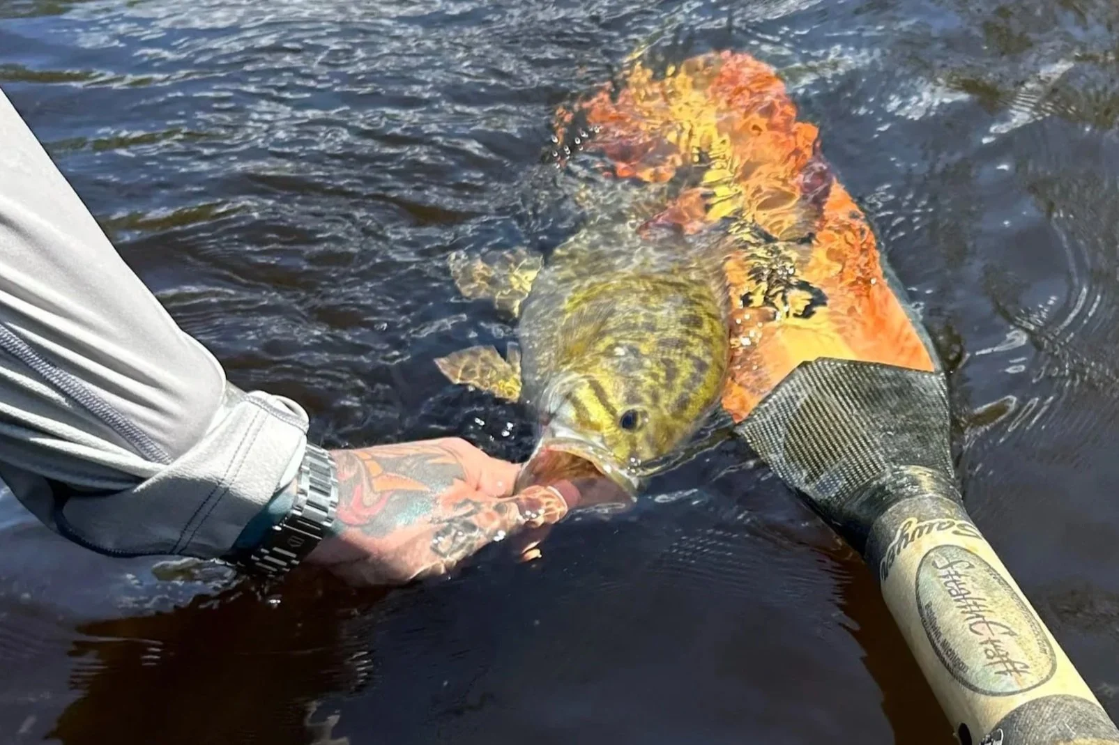 Person with tattoos on arm holding a fish near water surface, using a fishing net with a lure in a lake or river.