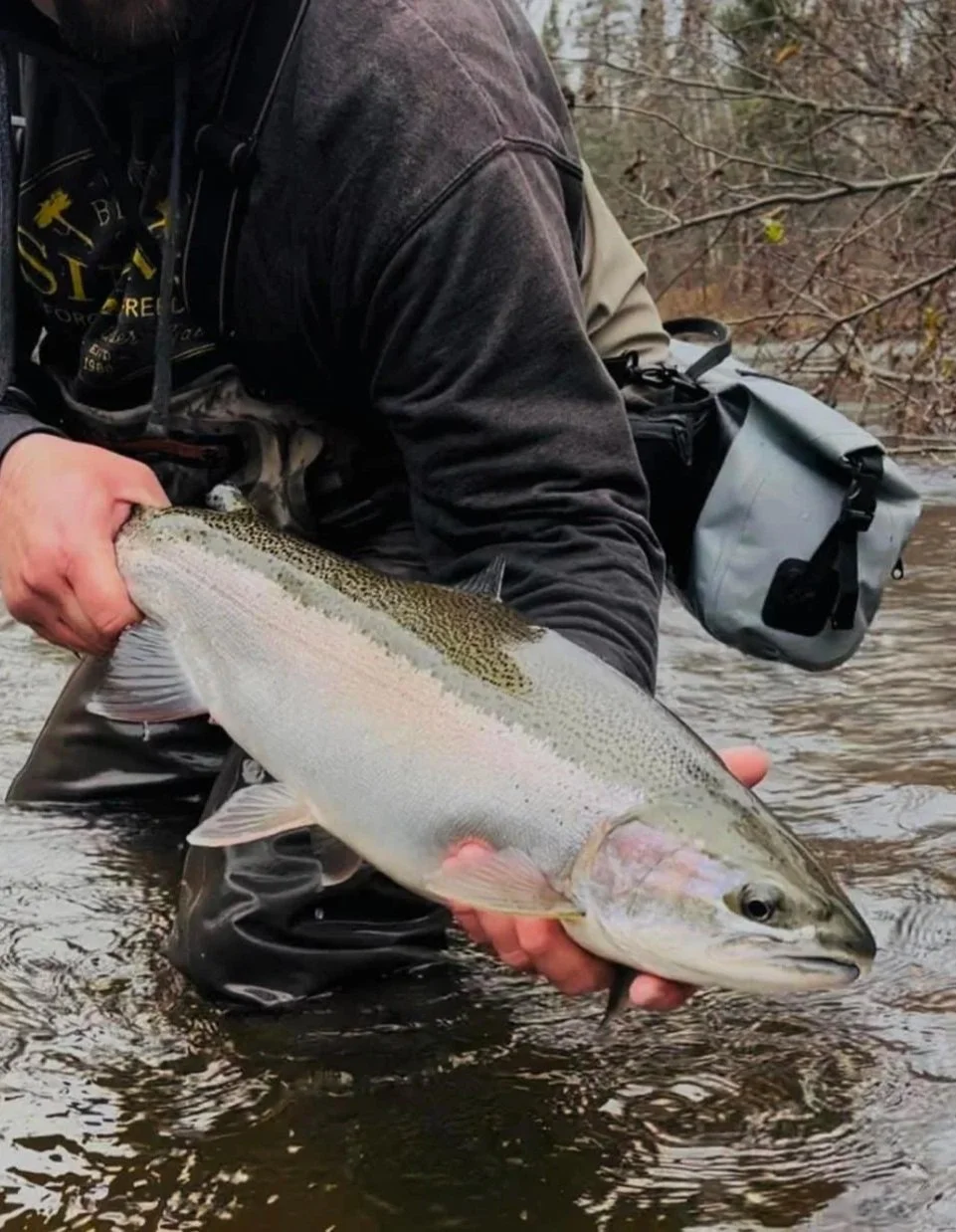 Person holding a large rainbow trout fish in a river, wearing outdoor gear.