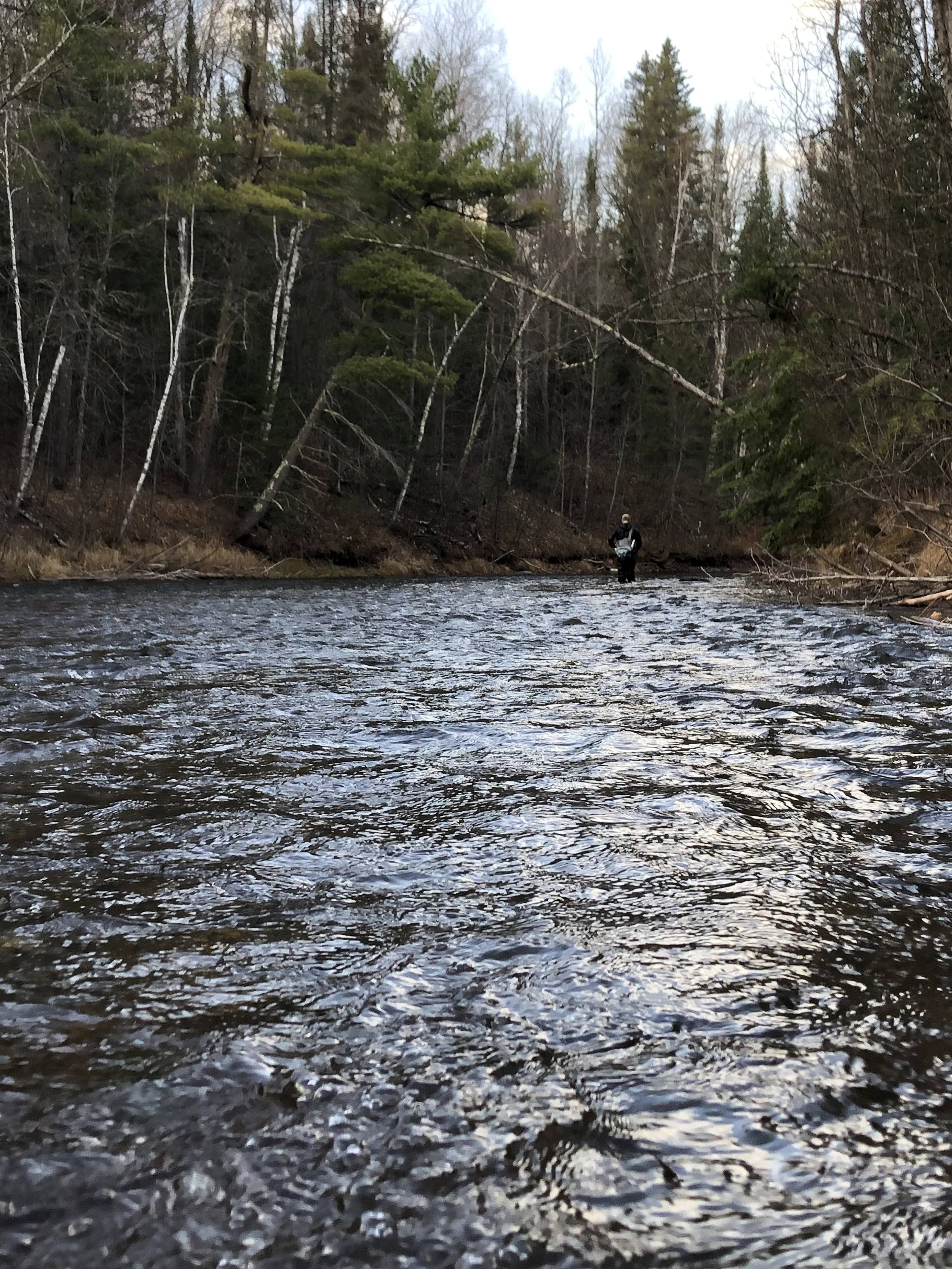 A person standing in a shallow stream surrounded by trees, with some snow on the ground and a cloudy sky.