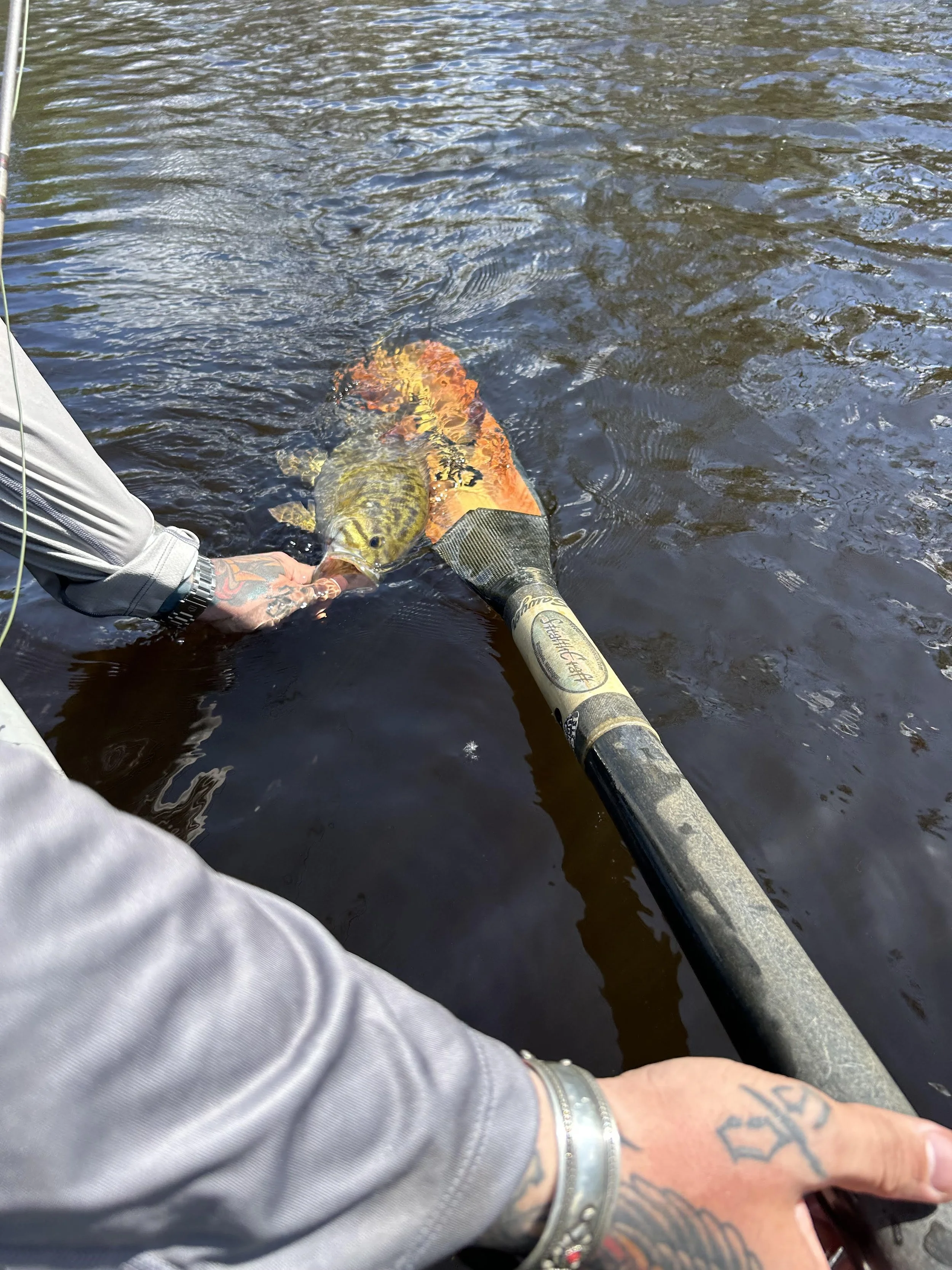 Person holding a large fish in a body of water, with a fishing rod in the foreground.