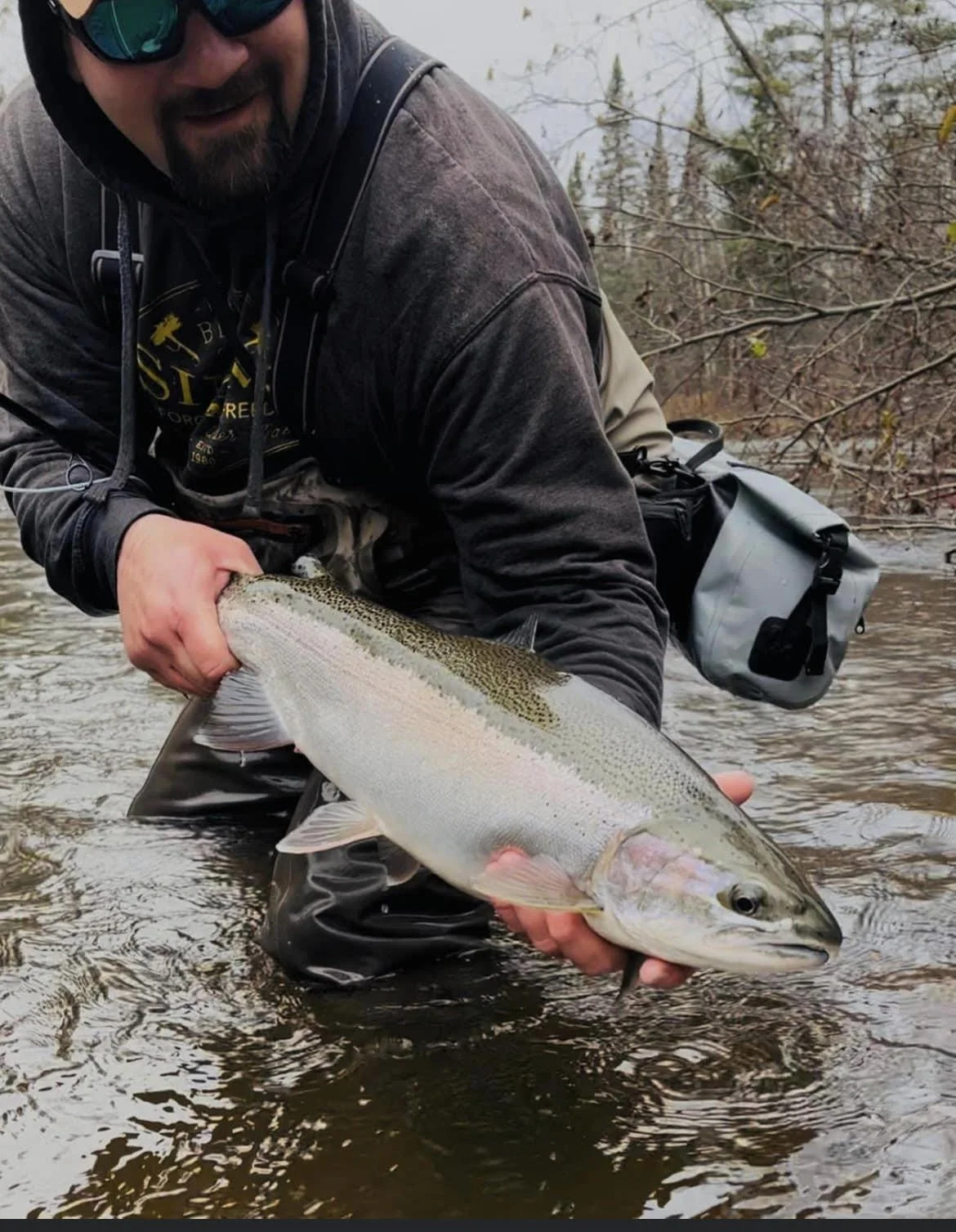 Steelhead - Swung Fly