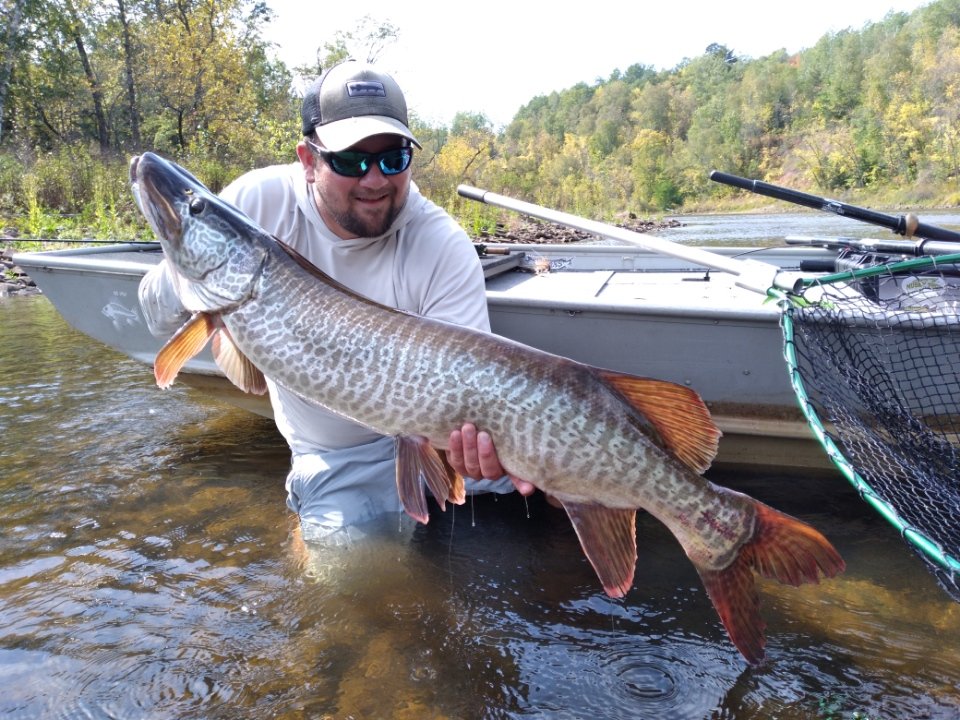 Man in water holding a large fish near a boat, with trees and hills in the background.