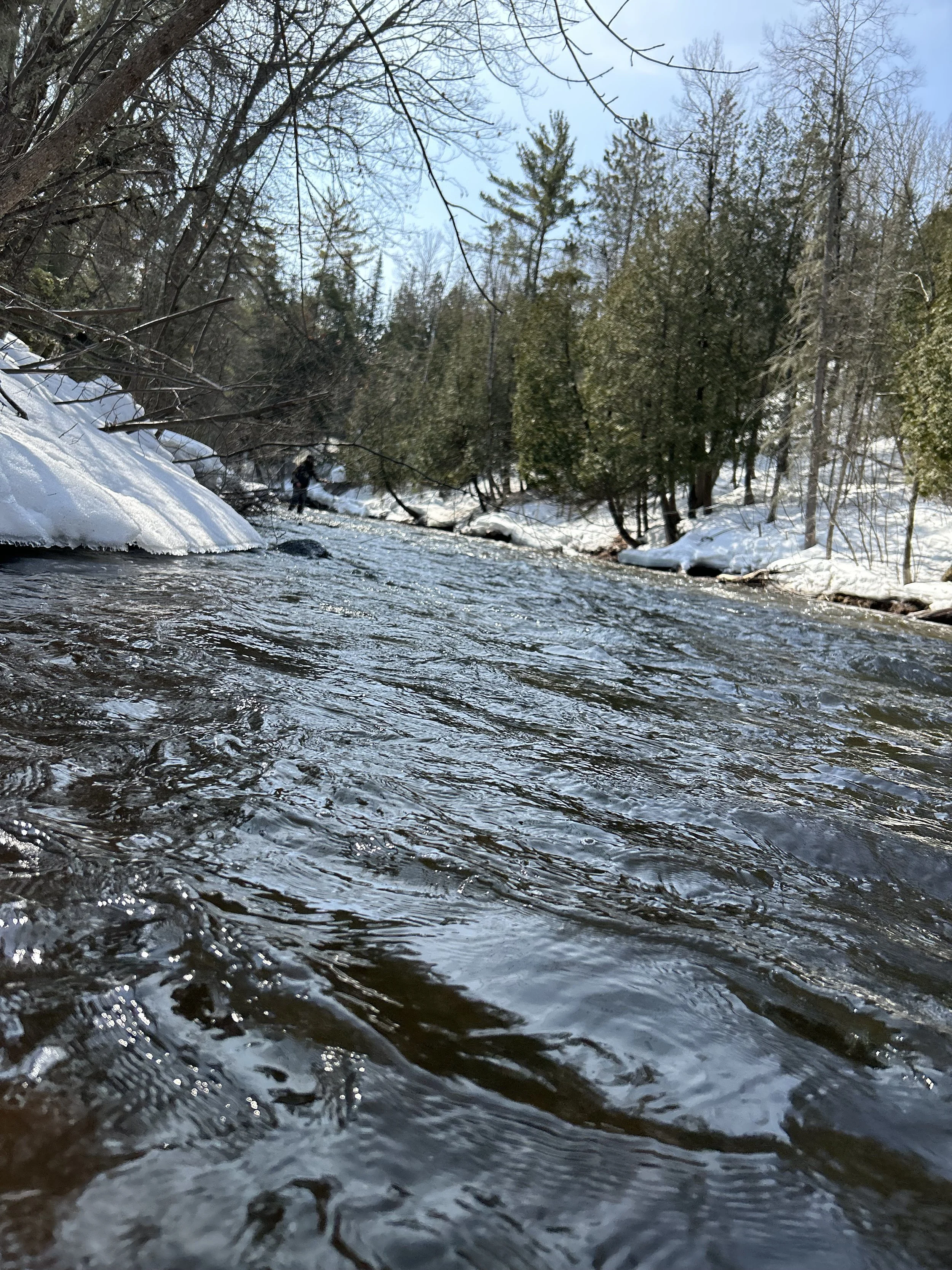 A flowing stream in a forest surrounded by snow, with trees on either side and a person standing in the distance