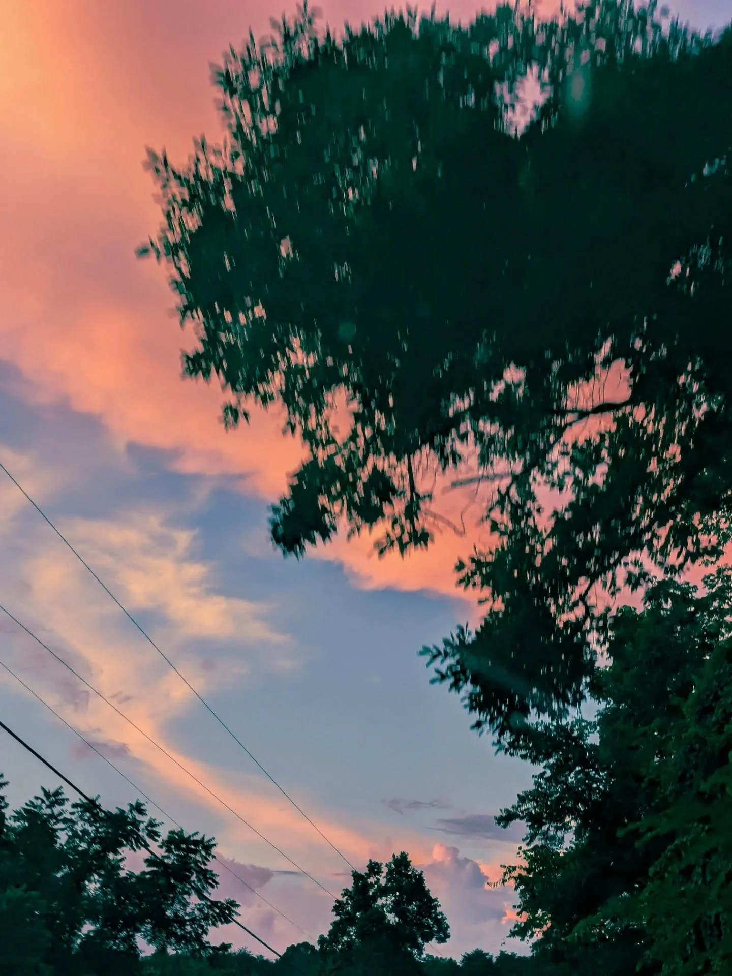 The sky when I'm with you. 🌫️🌻