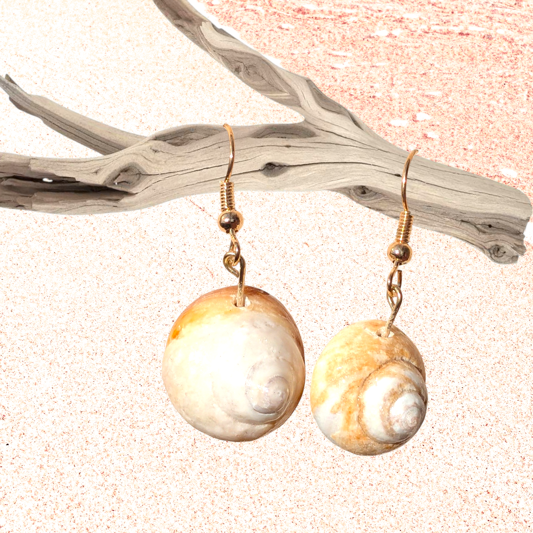 White shell earrings back