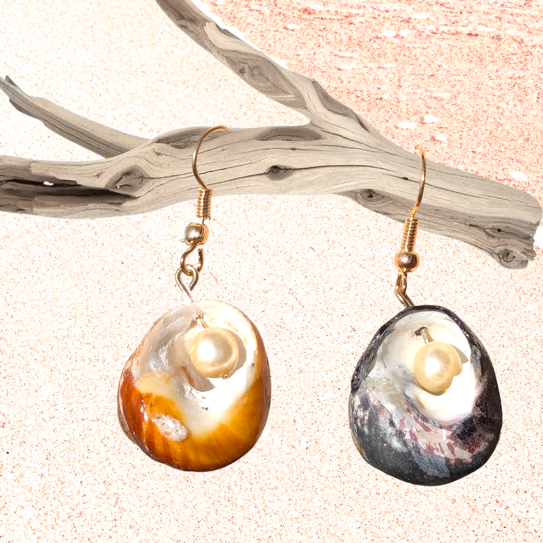 "She Sells Sea Shells" Earrings