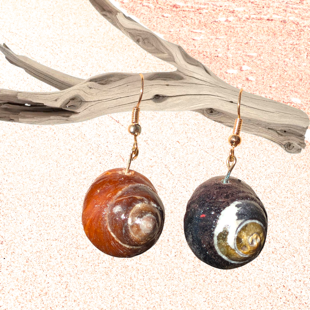 BACK Multicolored shell earrings