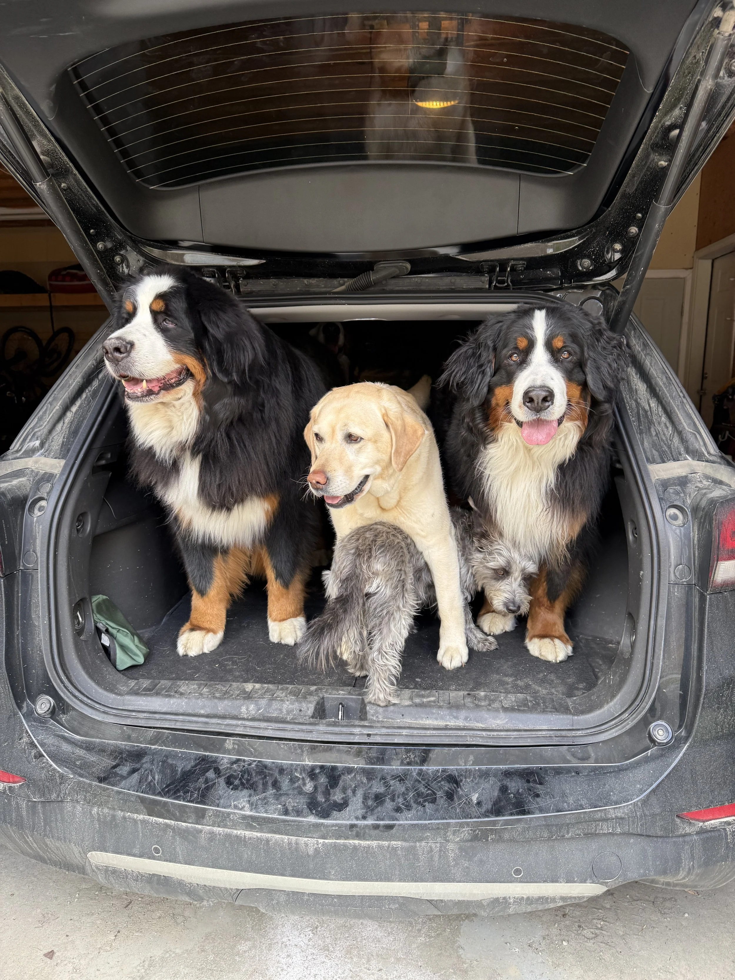 Clown car moment.