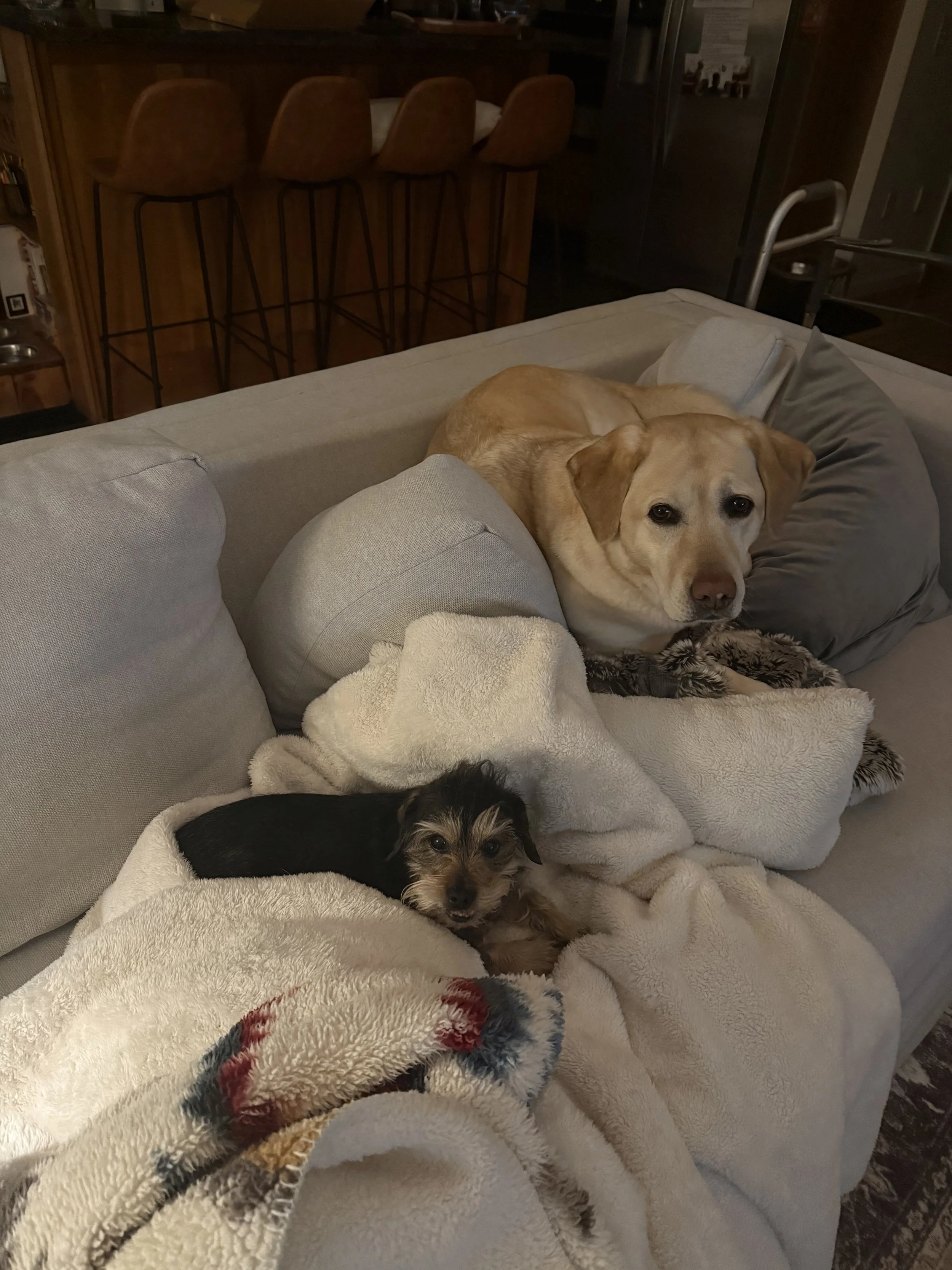 Winding down for the evening