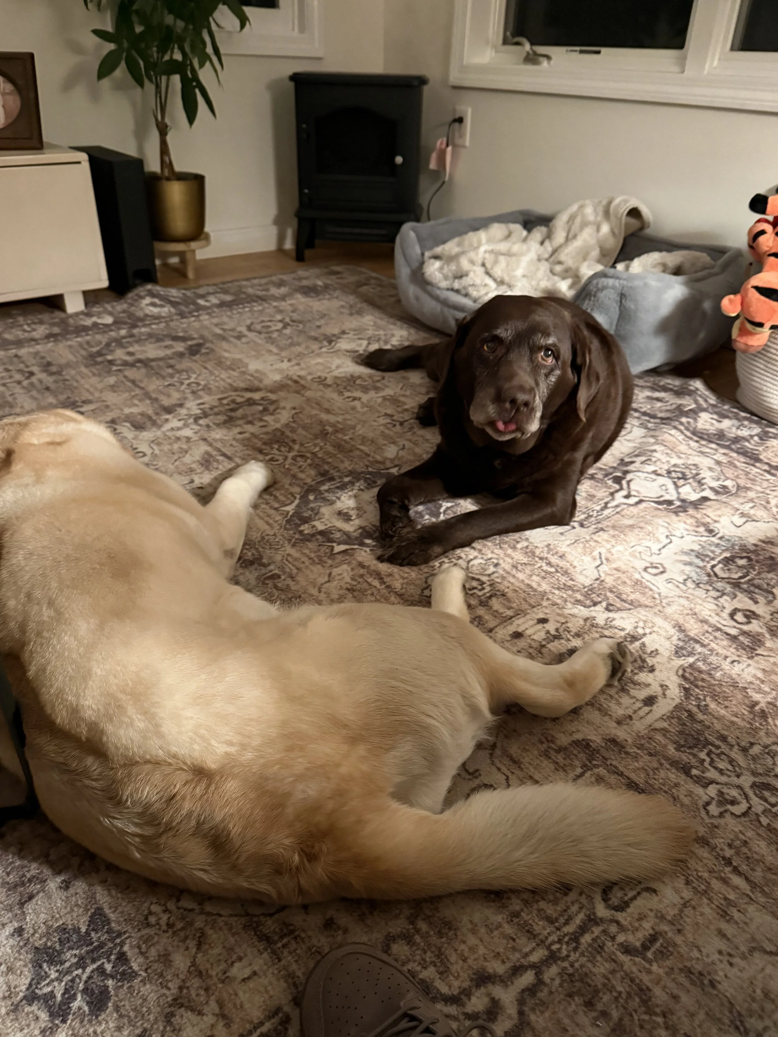 Maisy and Nala