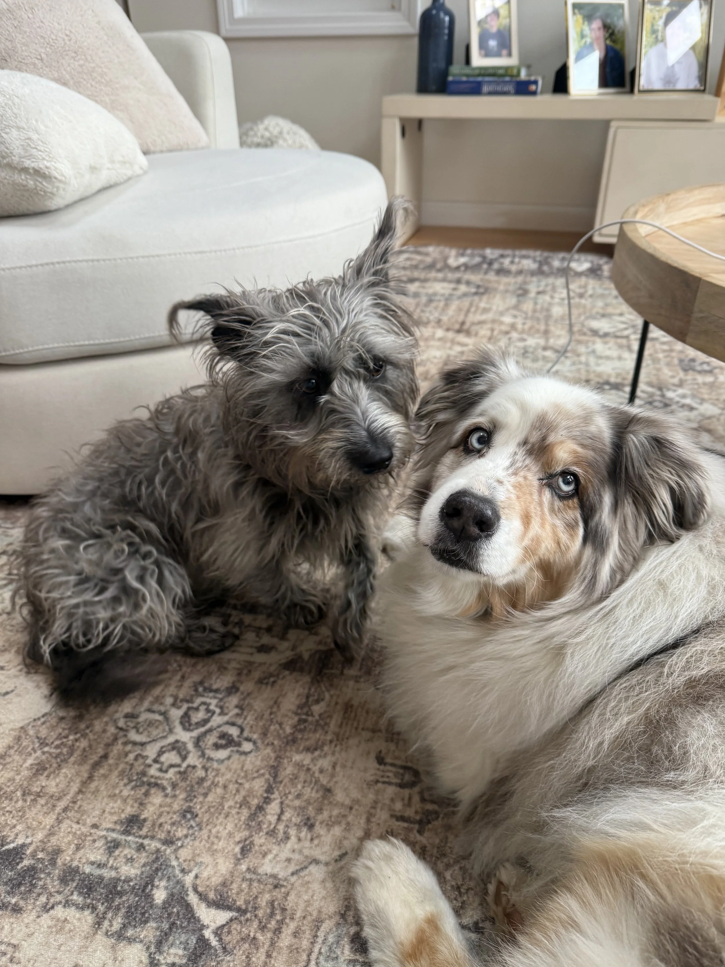 Gyps and Nora