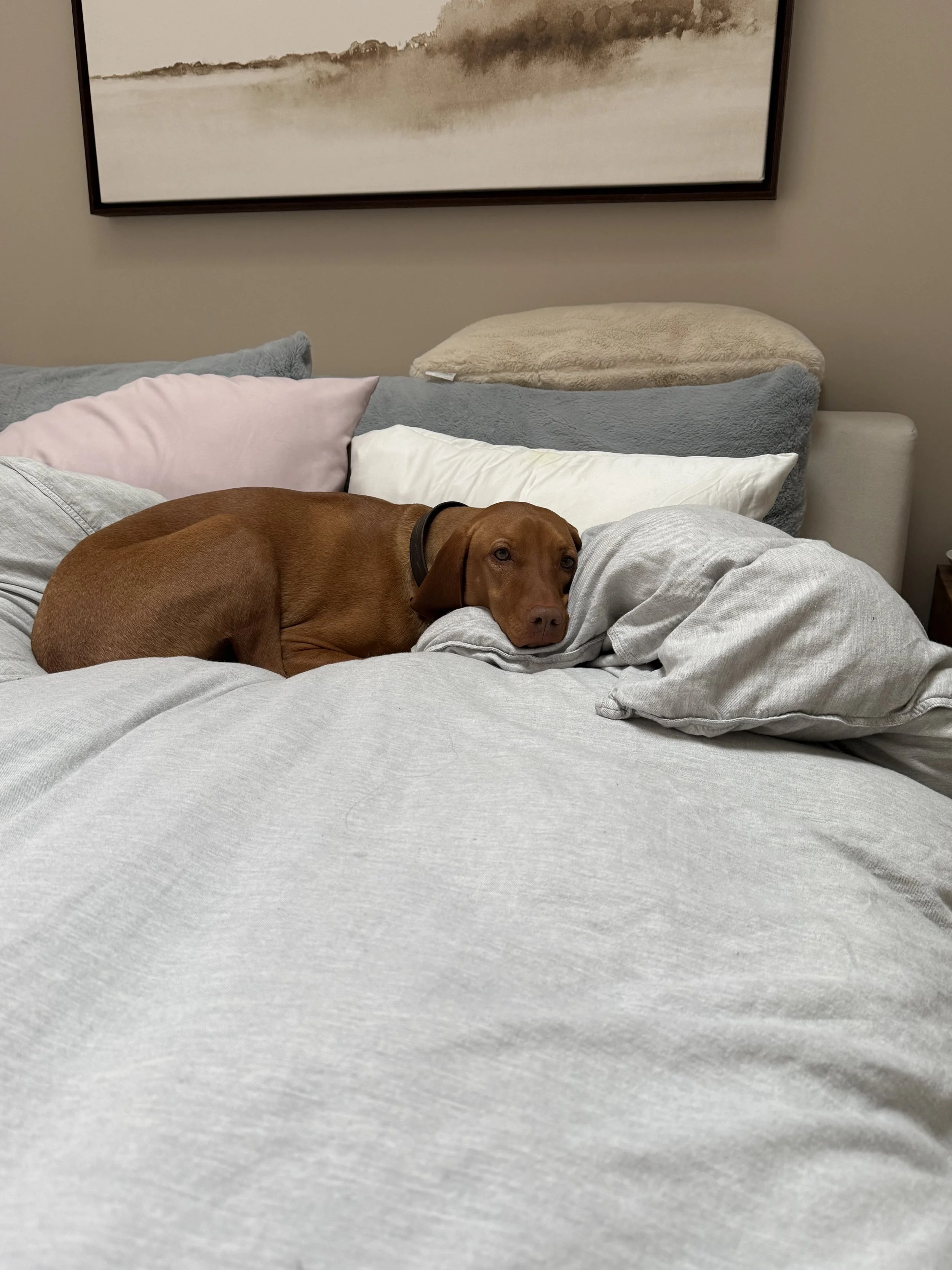 My bed is your bed...