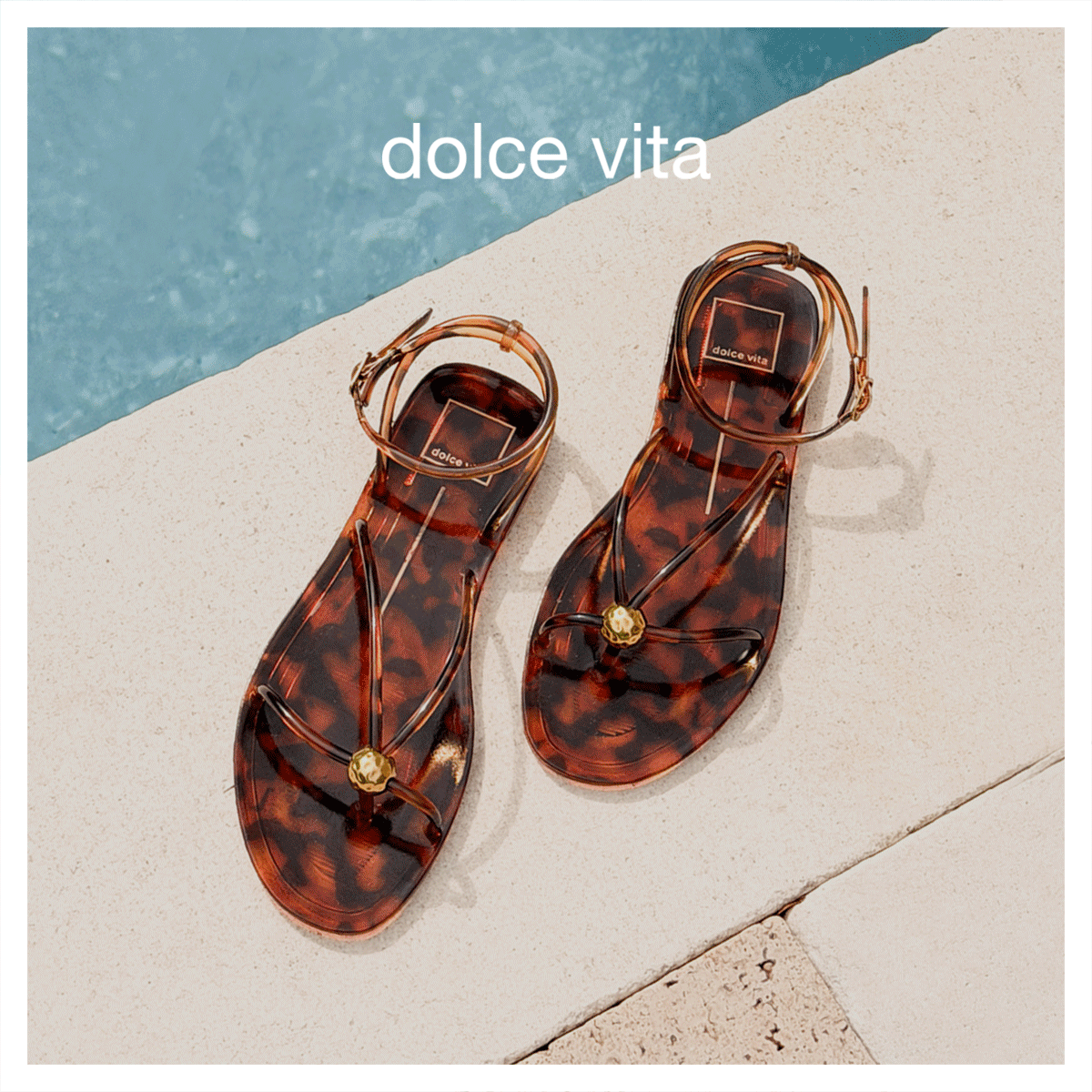 SUMMER-MULTI_FB.gif