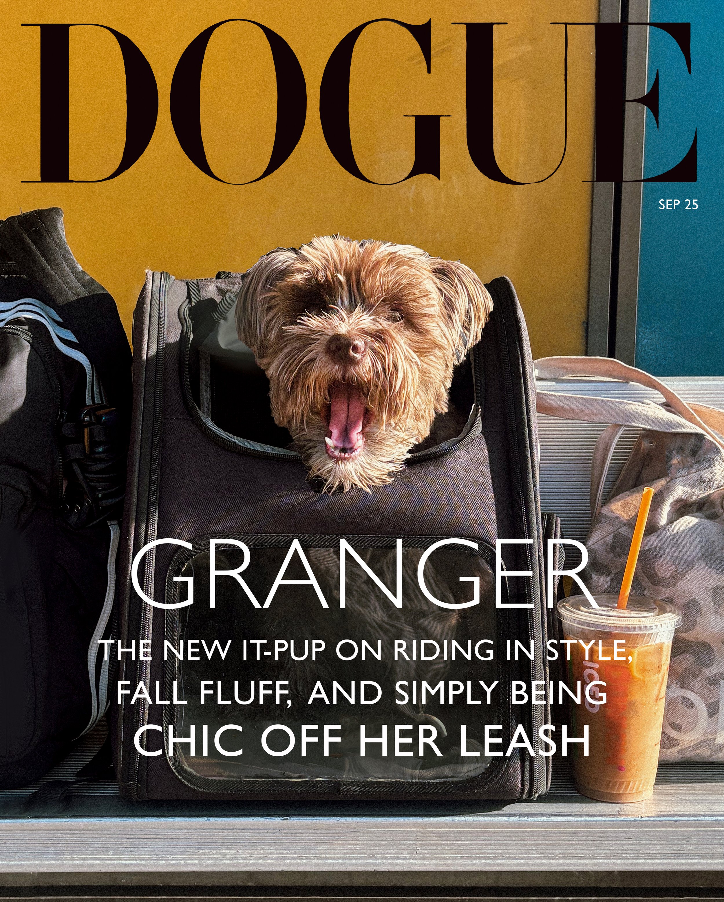 DOGUE6.jpg