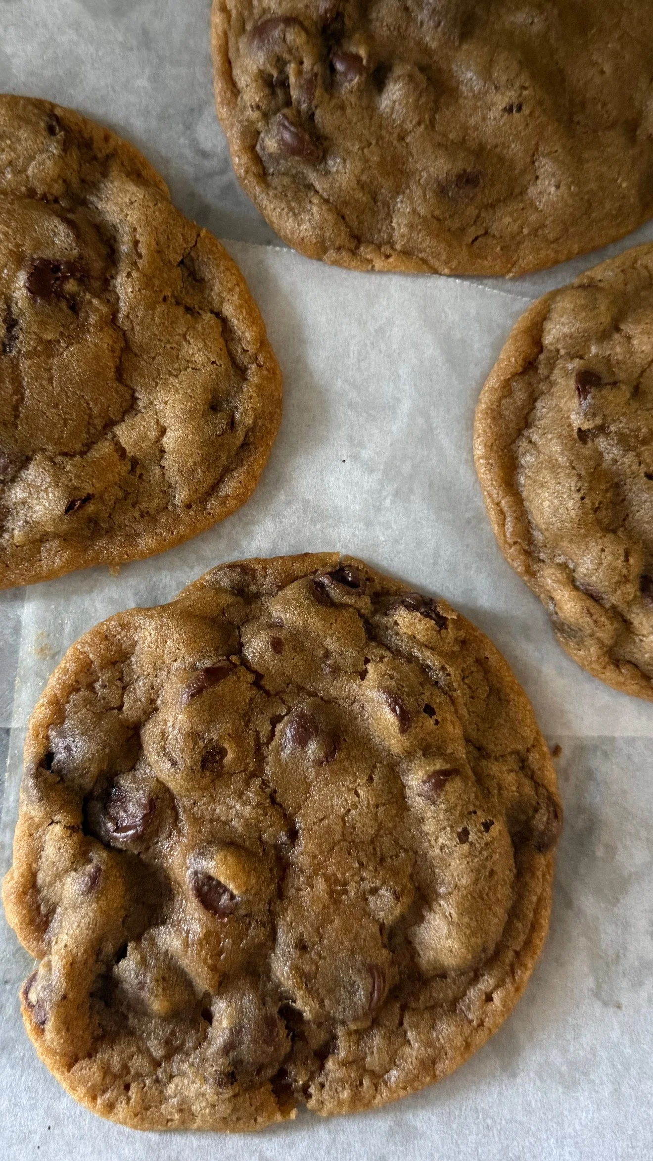 Vegan Chocolate Chip Cookies
