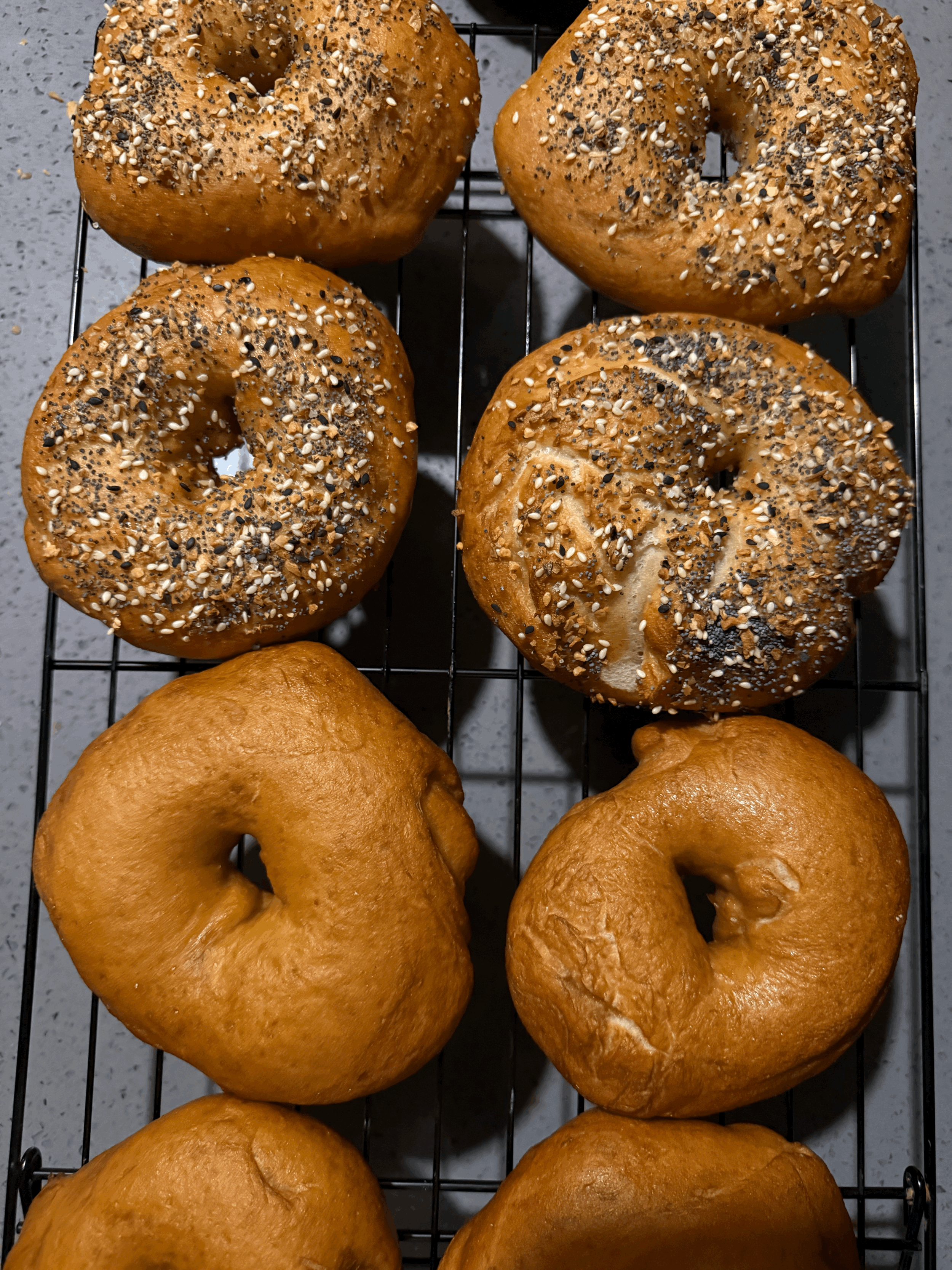Bagels
