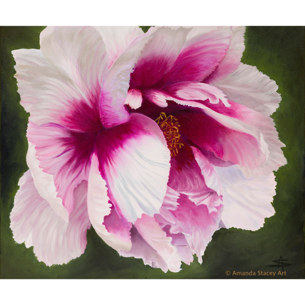 Blush Peony