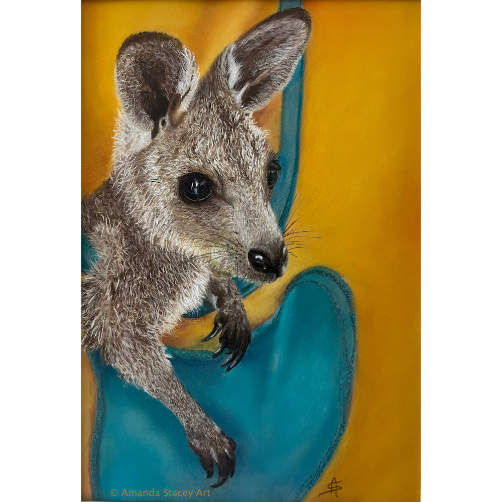 Yoshi - Eastern Grey Kangaroo Joey