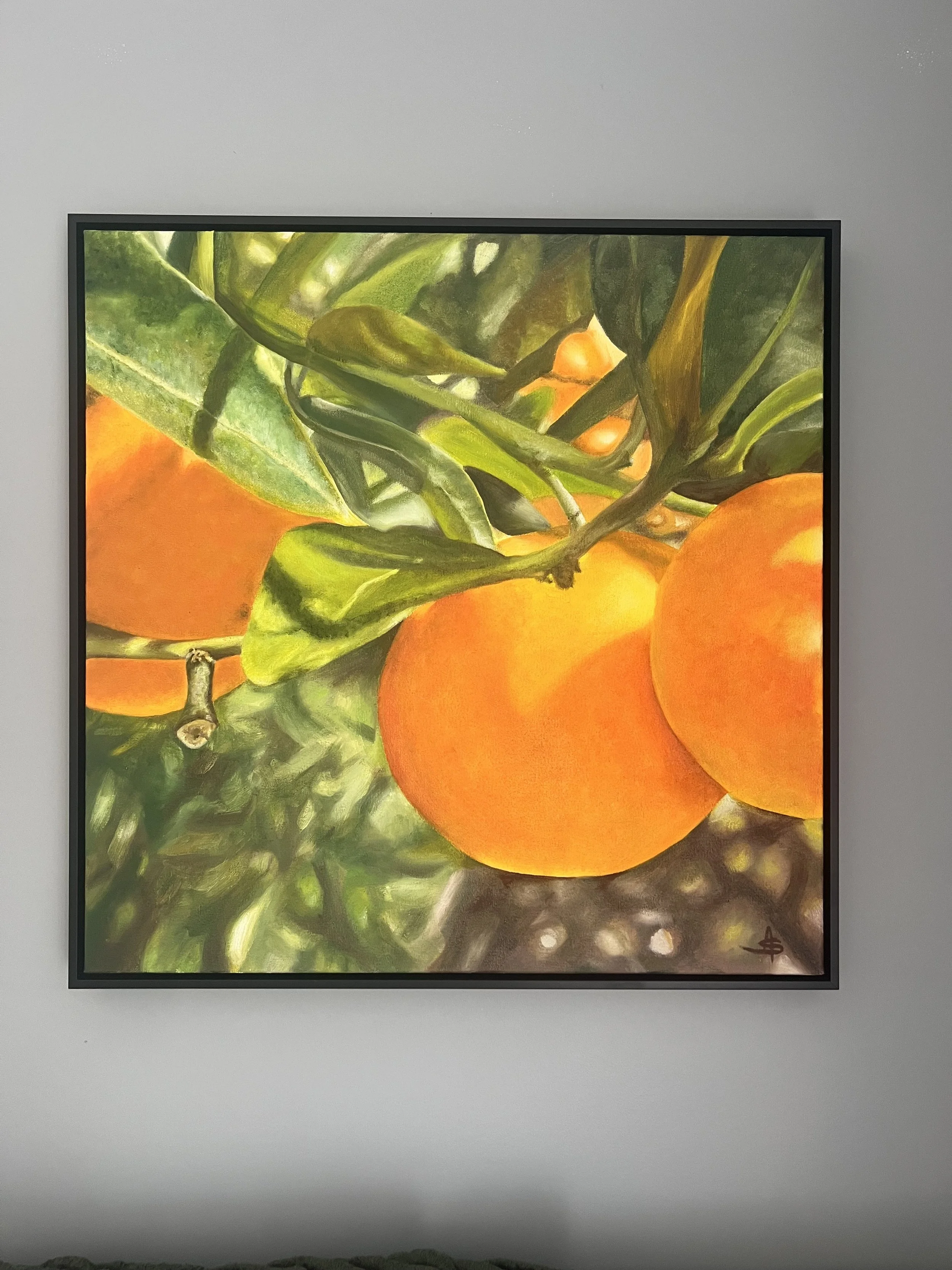 Abundance original oil painting in black timber frame by Amanda Stacey