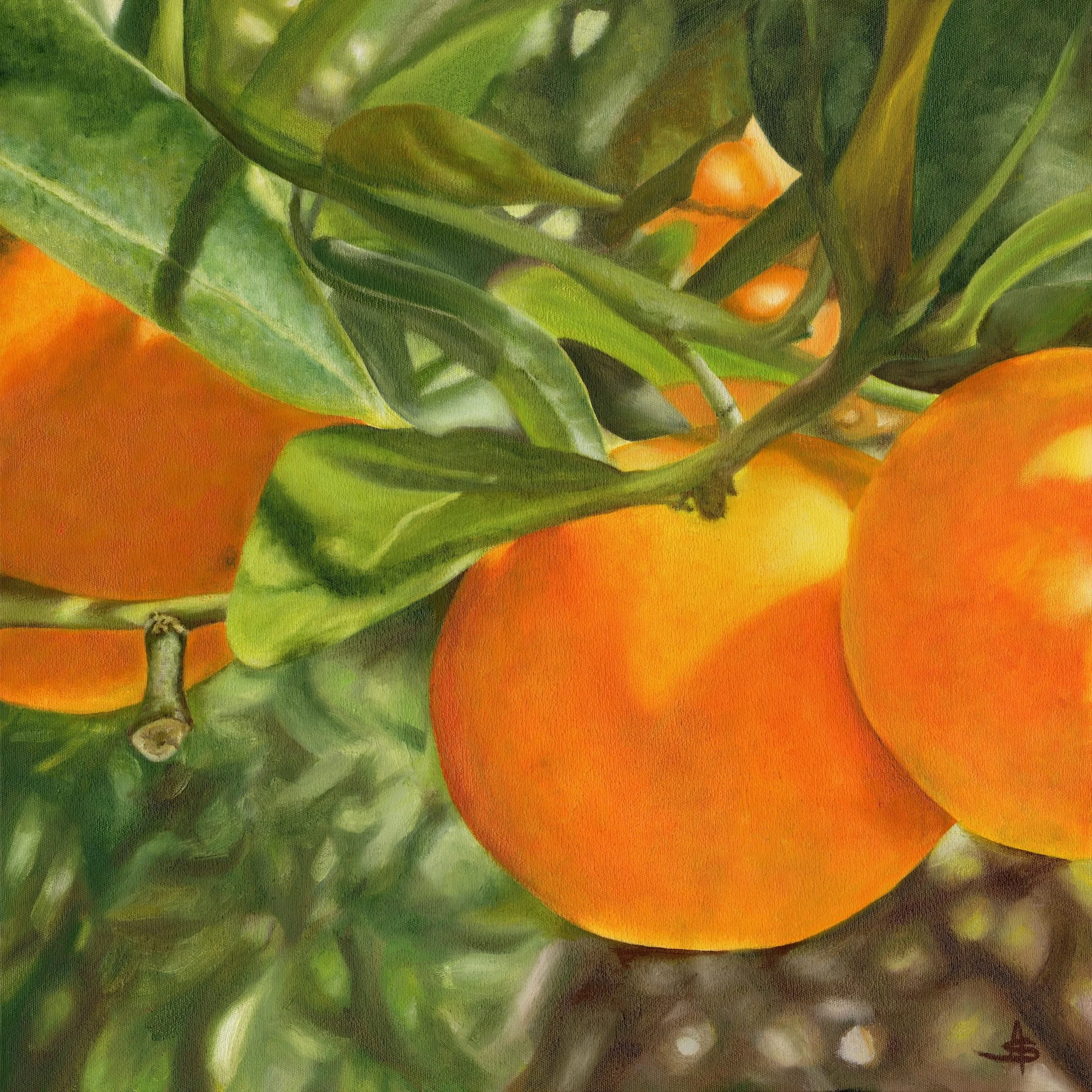 Amanda_Stacey_Abundance_giclee_fine_art_print