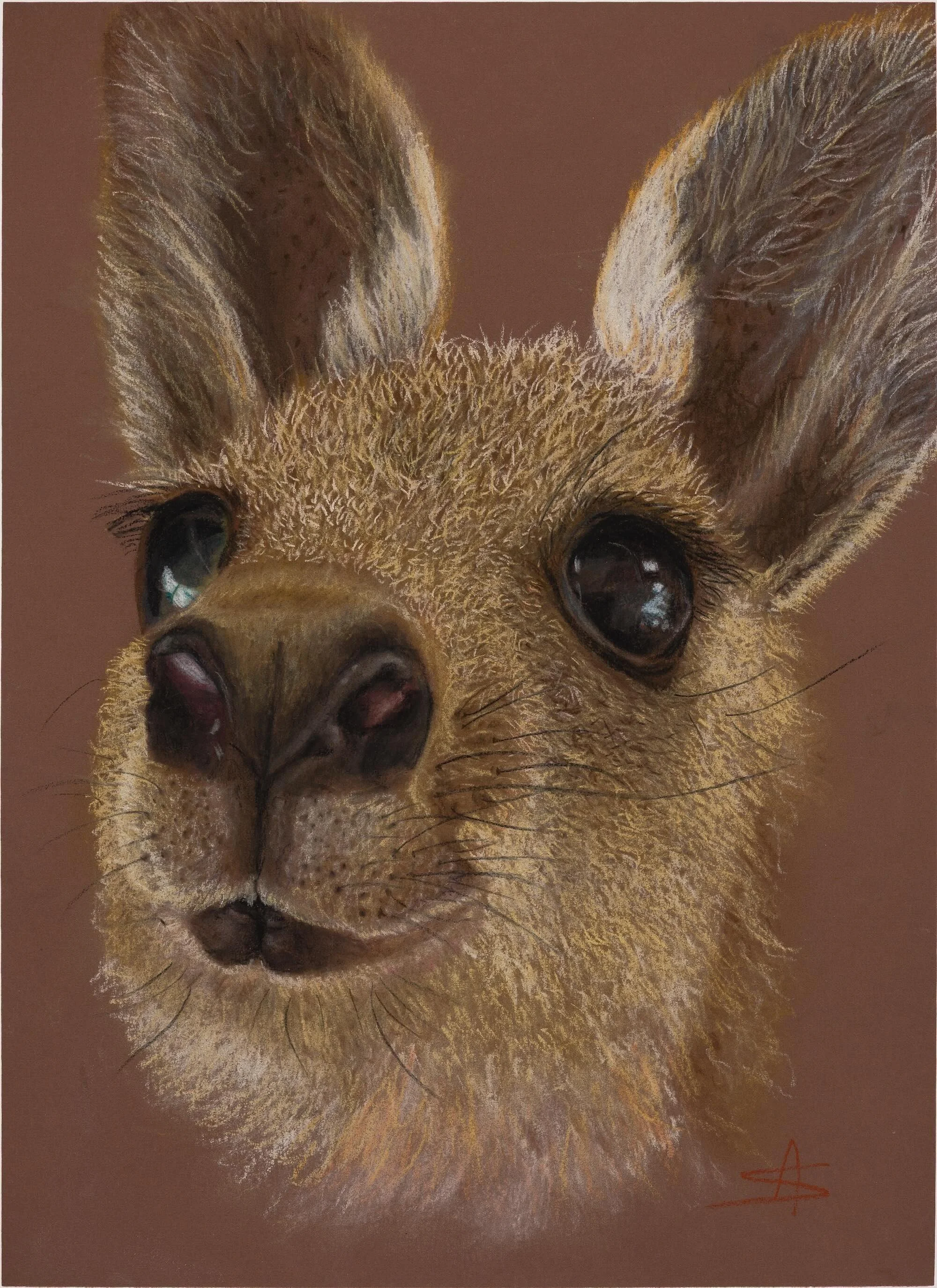 A detailed colored drawing of a dog’s face, focusing on the eyes, nose, and fur, with a brown background.