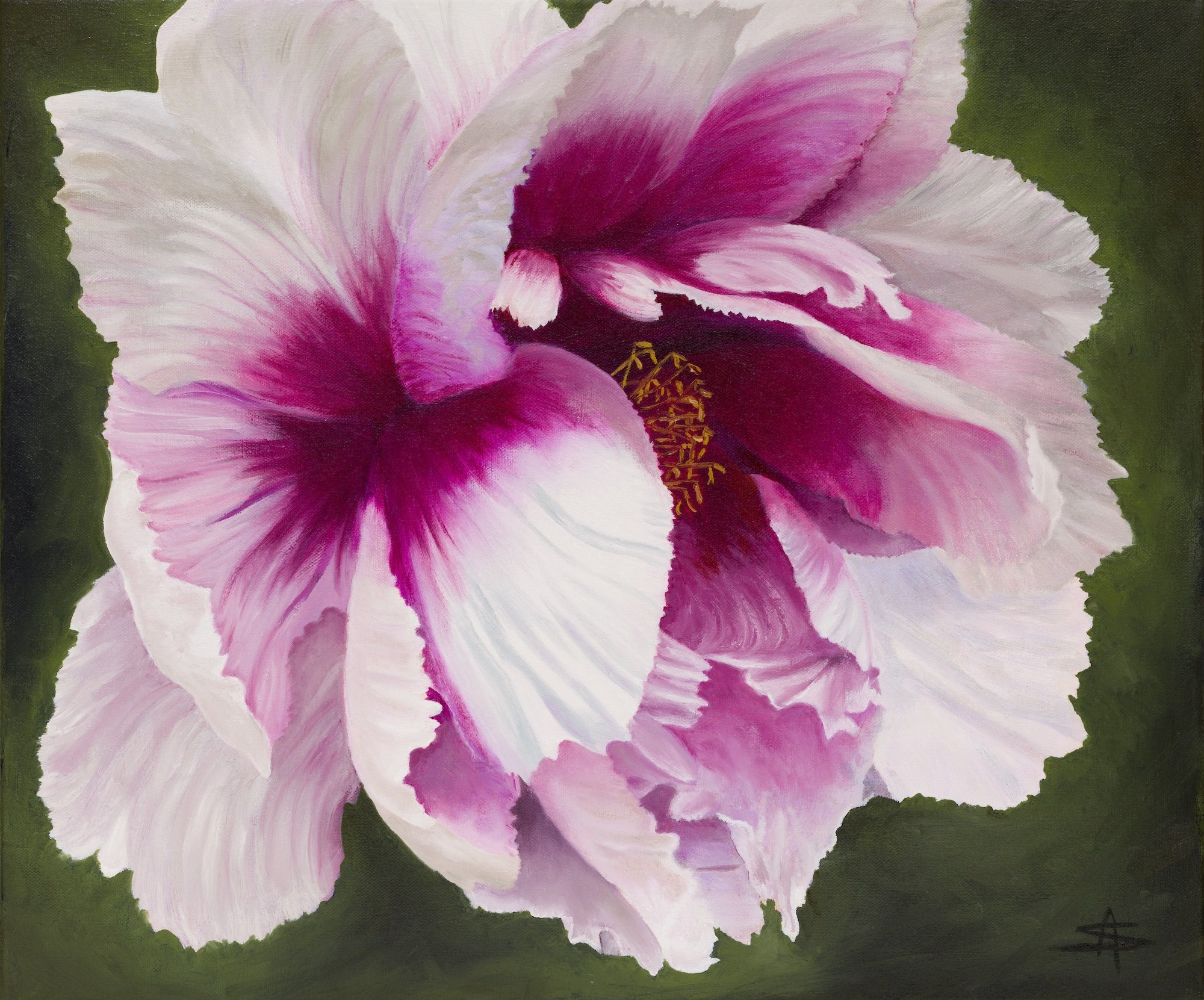 Pink peony oil painting on canvas by Australian artist Amanda Stacey, botanical floral artwork with soft layered petals