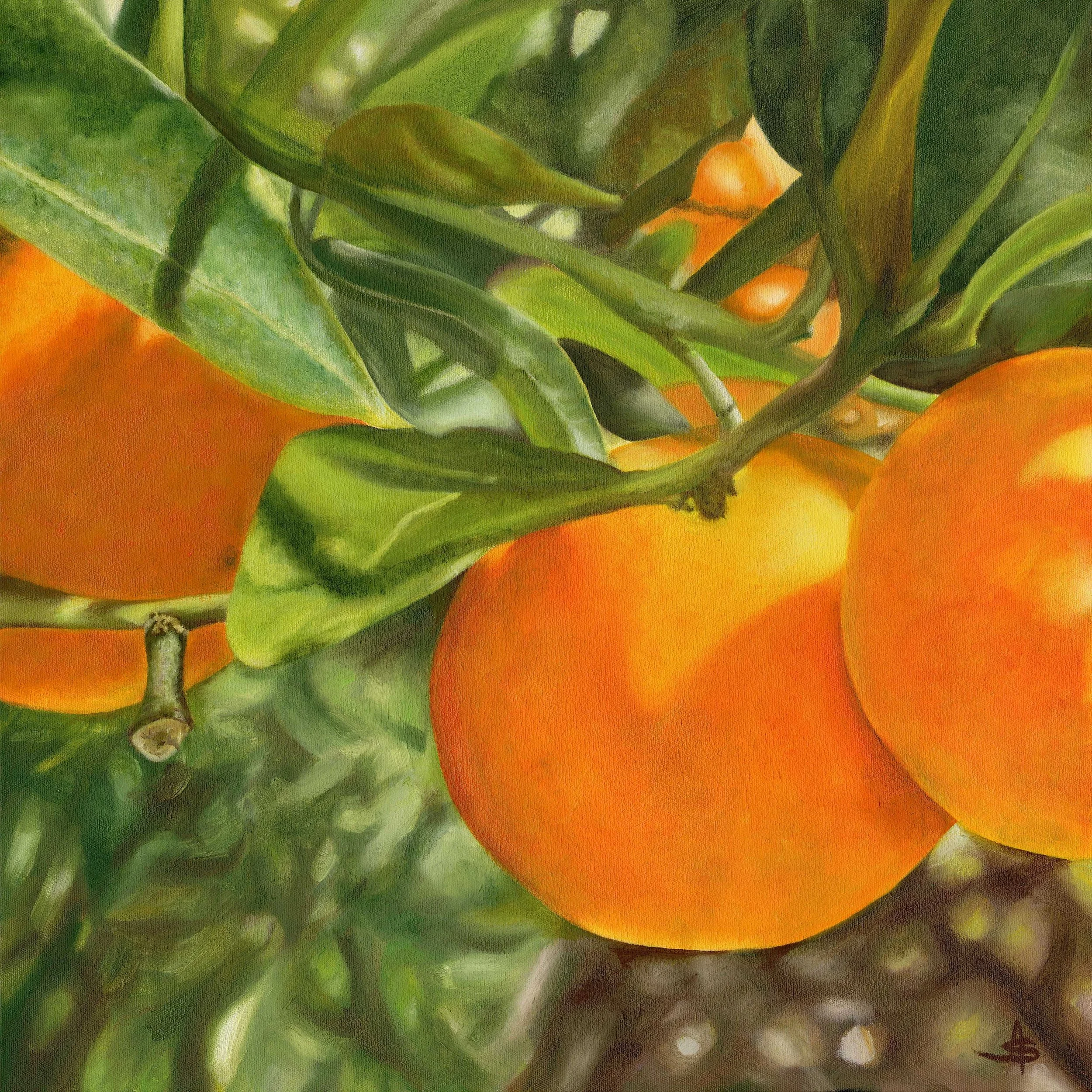 Abundance