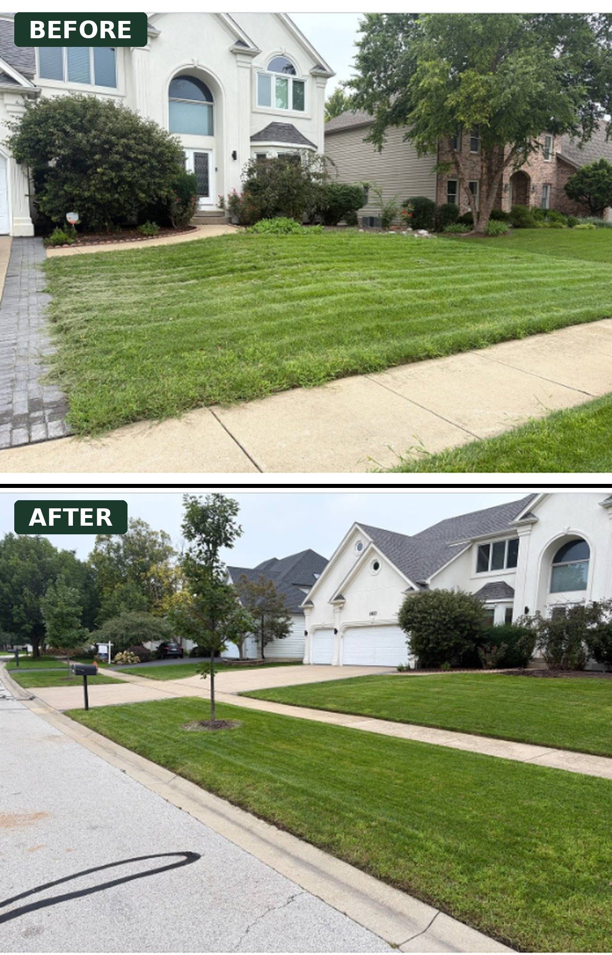 Full property mow and cleanup.